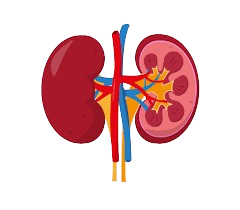 images-removebg-preview (2).png