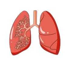 images__3_-removebg-preview (1).png