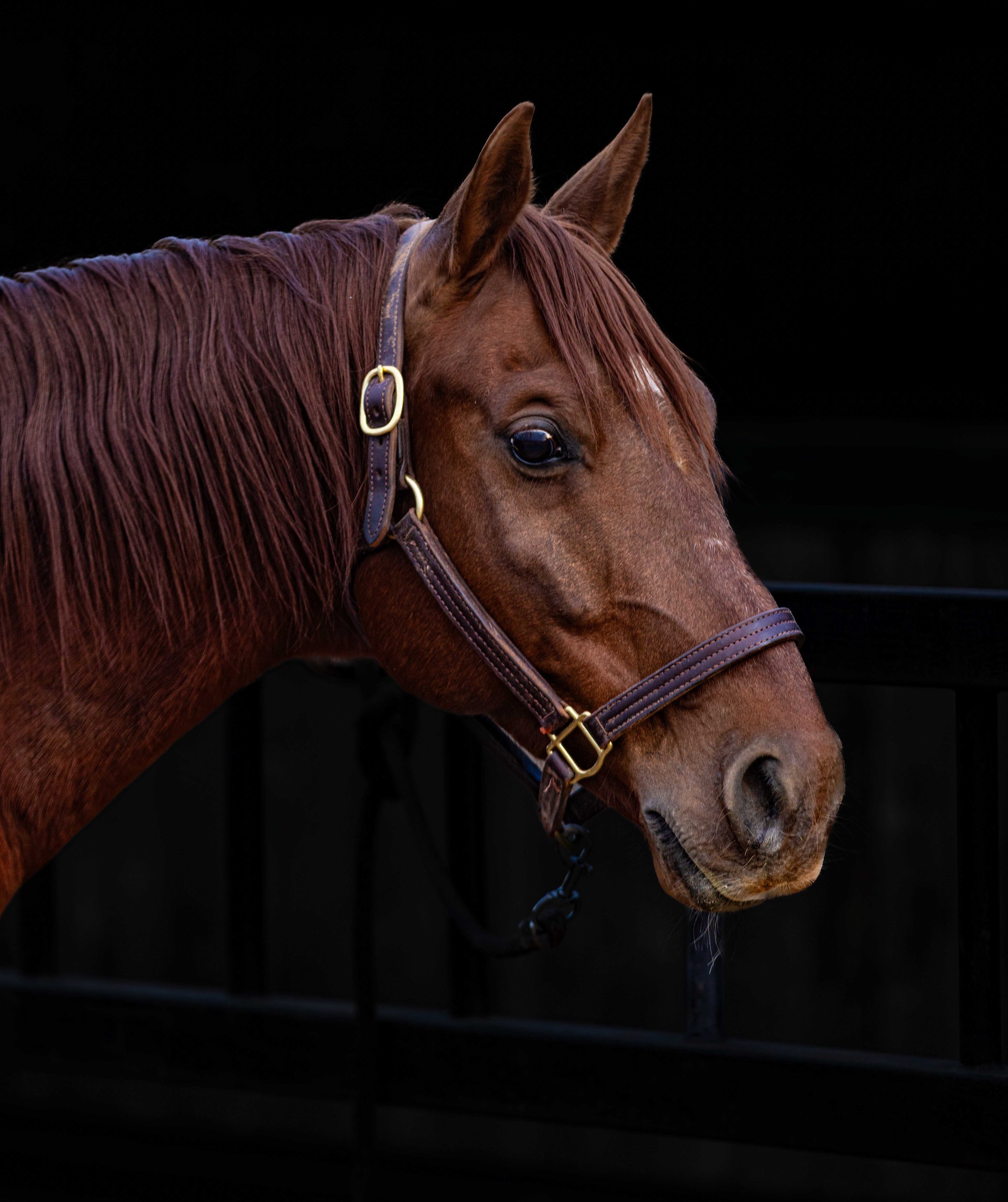 woolsey_0086.jpg