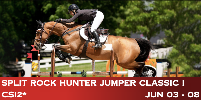 Split Rock Hunter Jumper Classic I