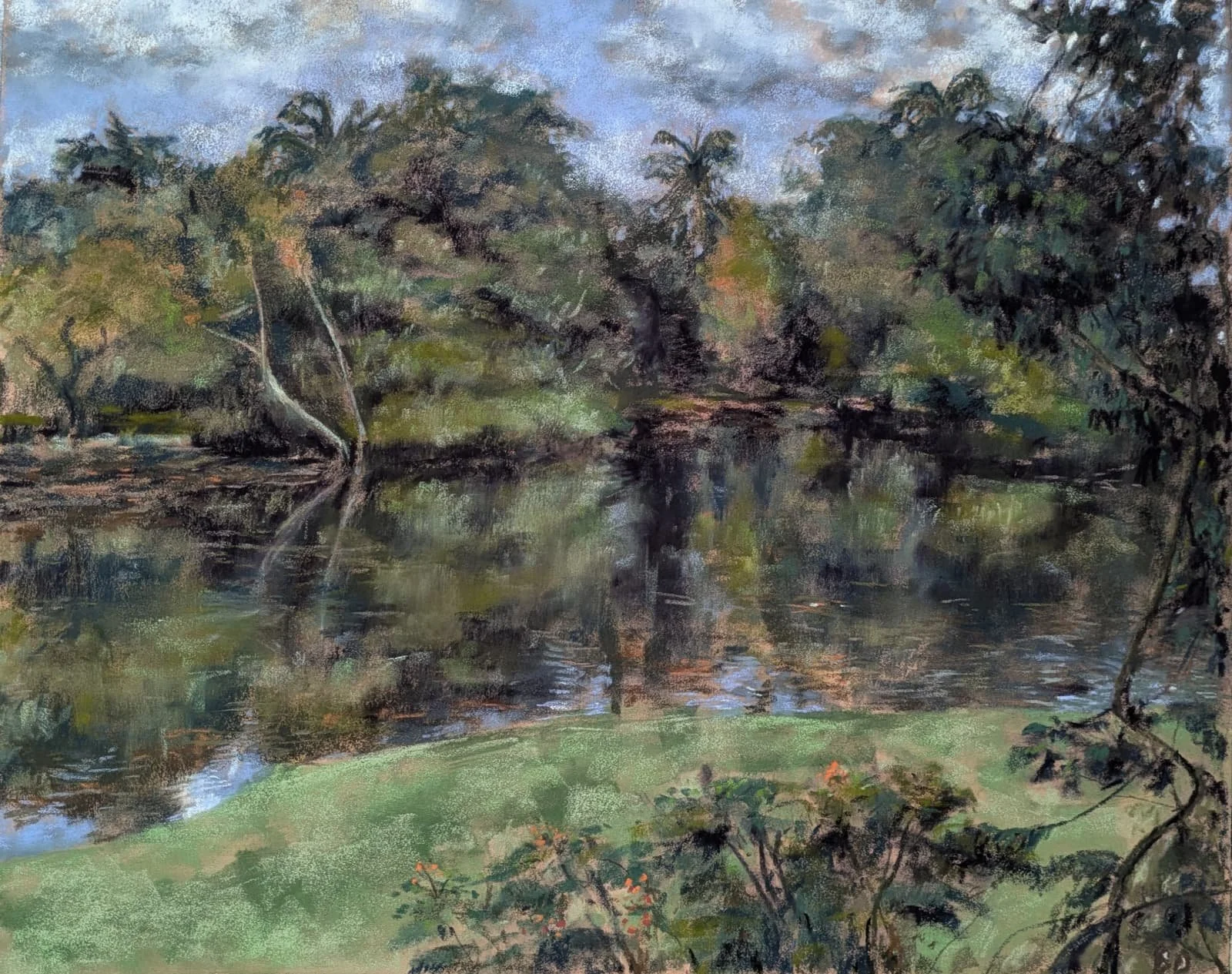 Soft Reflections at the Eco Lake