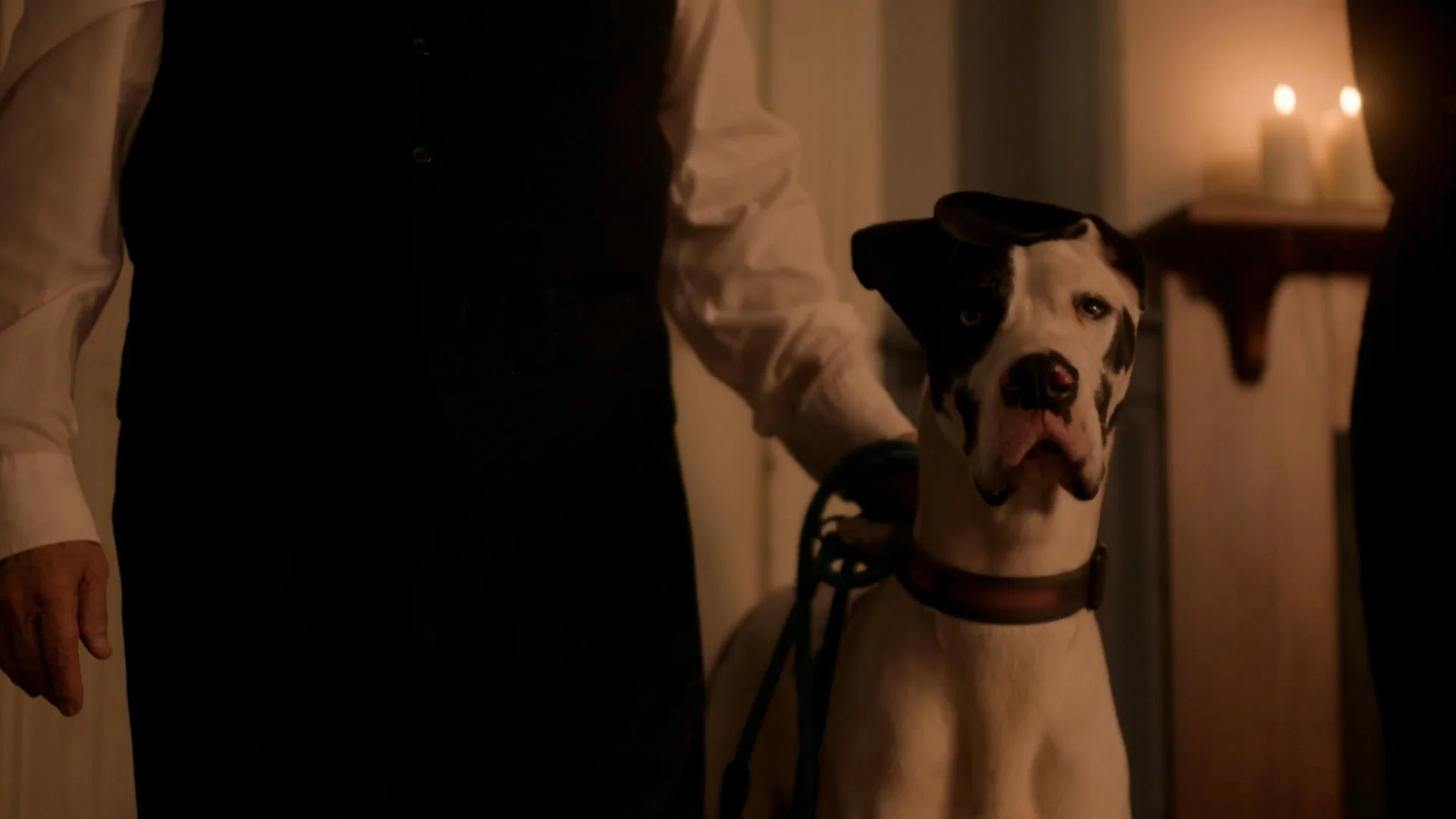 Dinner Parties_MASTER_SOCIAL_CREDITS.mp4.00_03_21_09.Still010.jpg