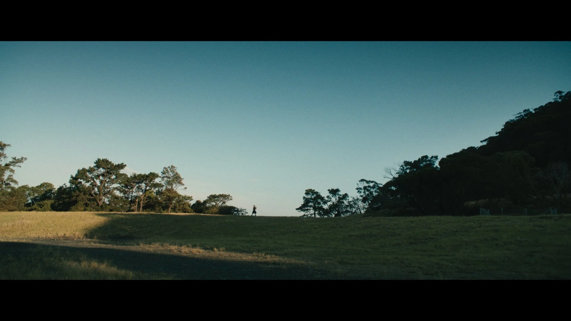 LudoStills _1.2.20.jpg