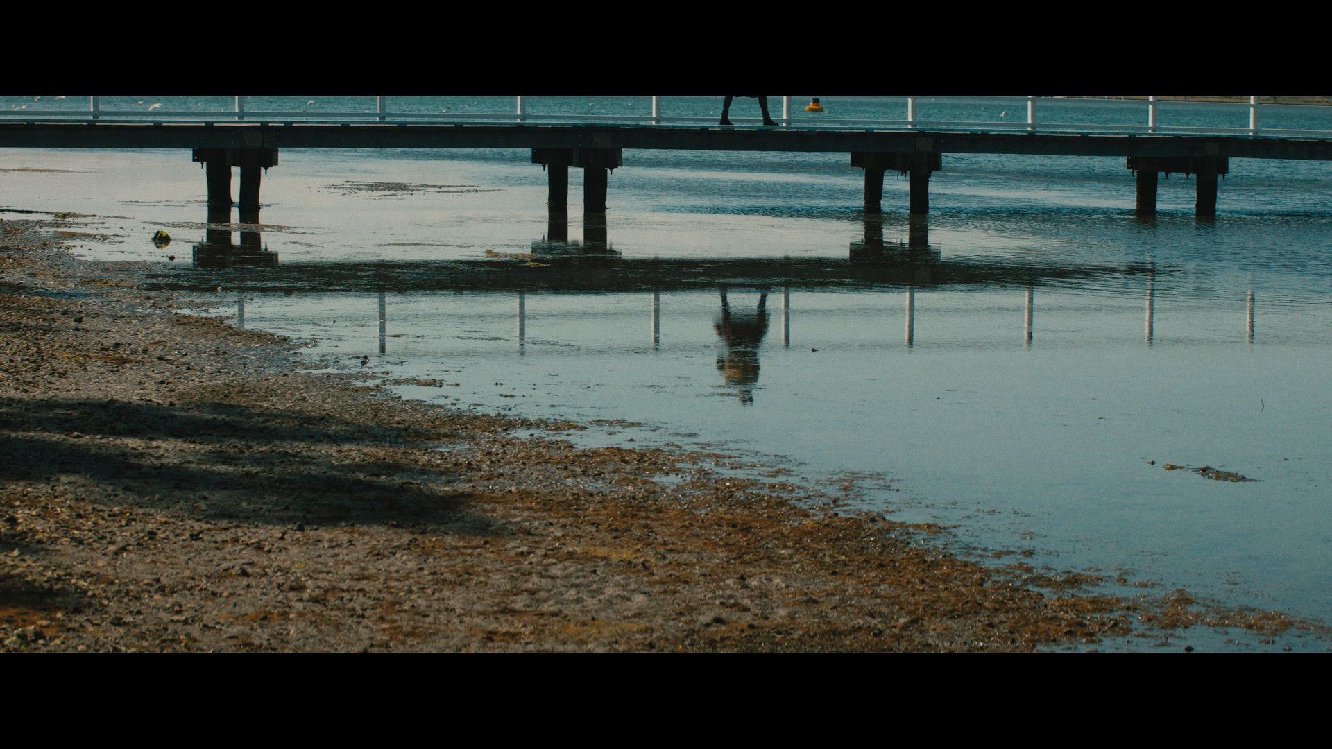 LudoStills _1.2.21.jpg