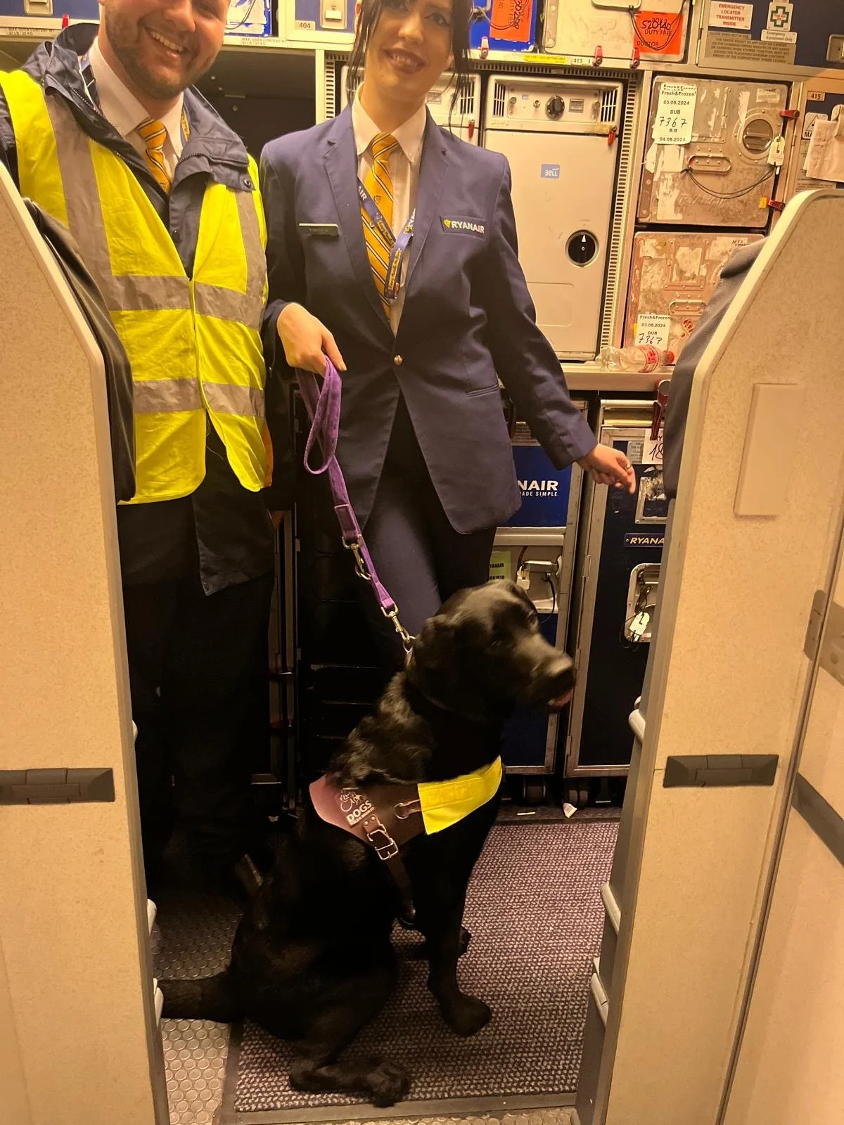 Ryanair, assistance dog, airplane, pilot, DAA, airport, Dublin