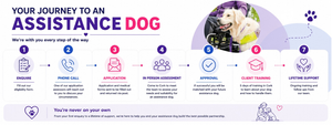 Apply — Irish Dogs for The Disabled