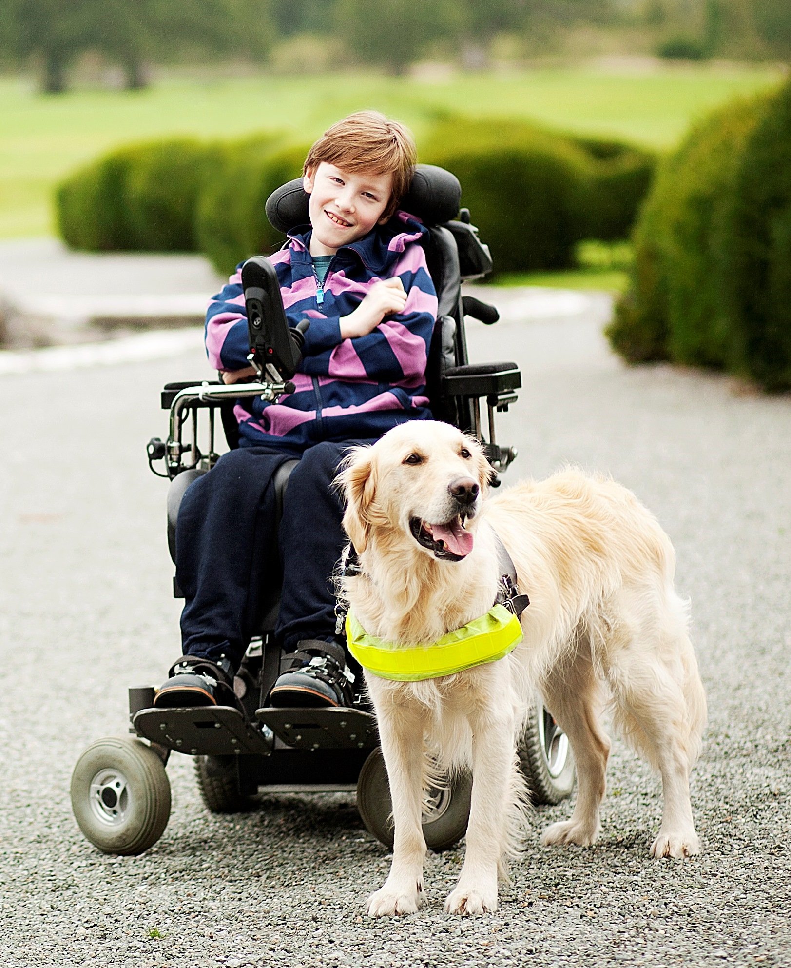 How Our Dogs Help — Irish Dogs for The Disabled