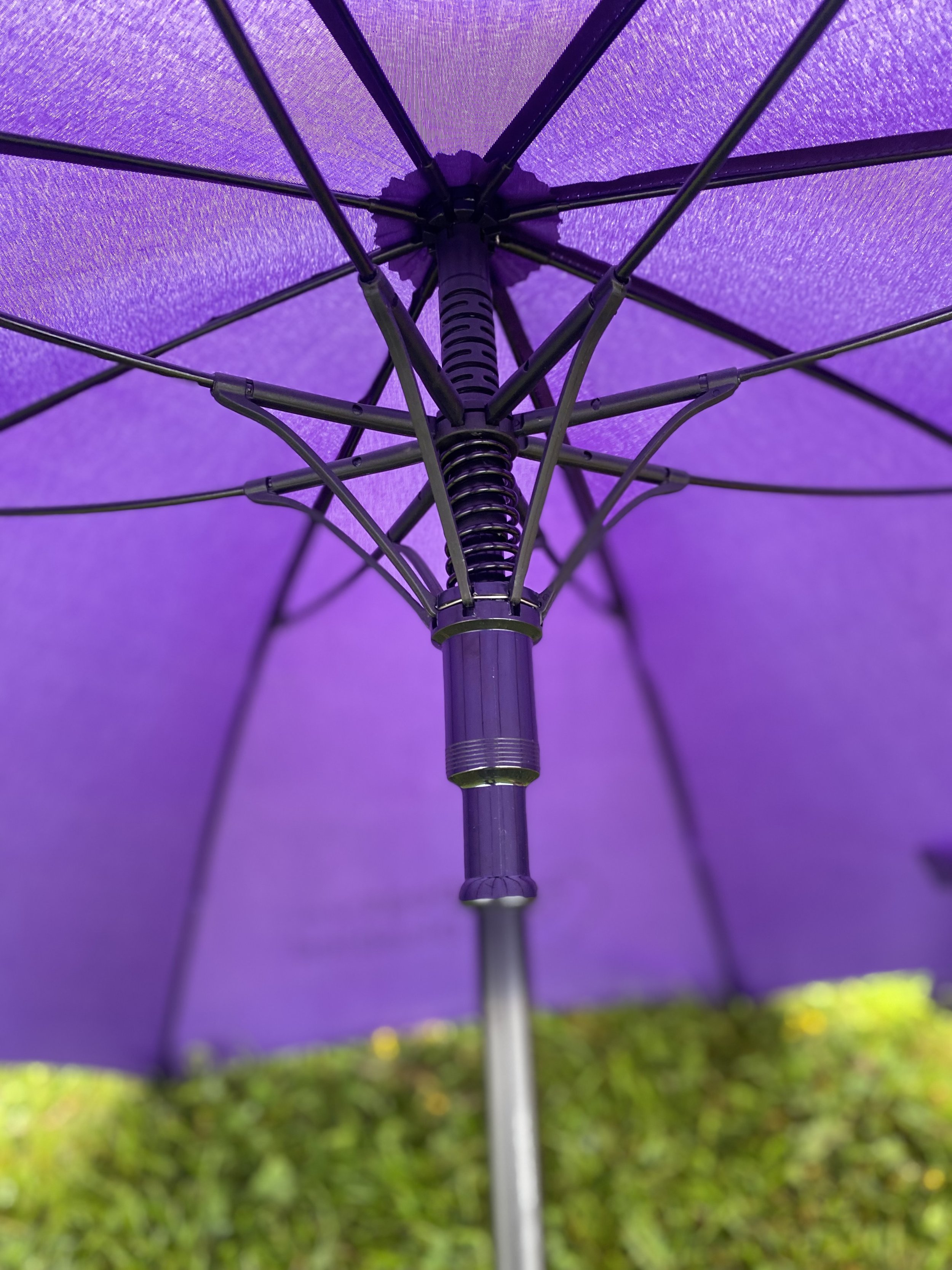 IMG_0670.jpeg