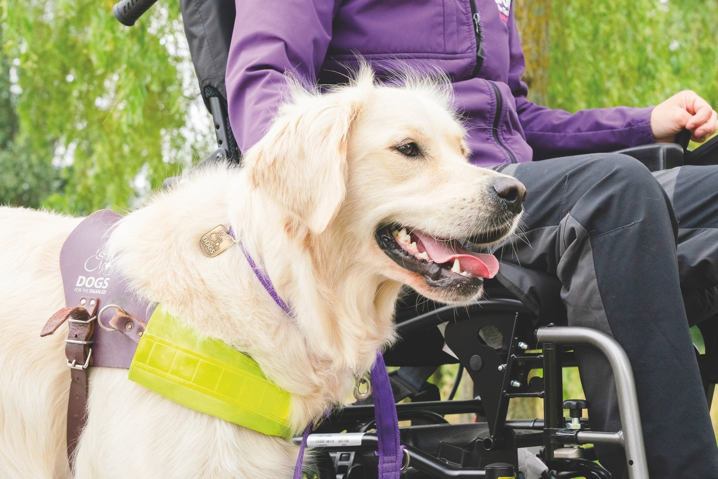 GR at wheelchair.jpg