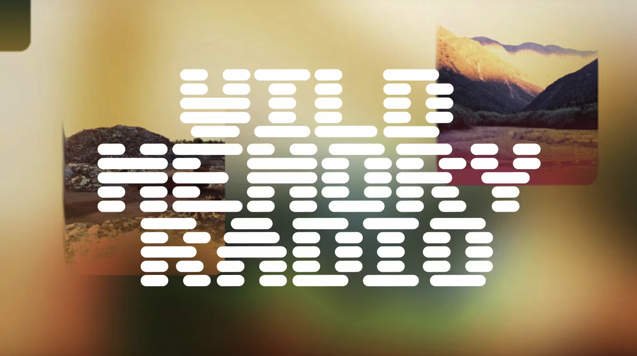 Wild Memory Radio