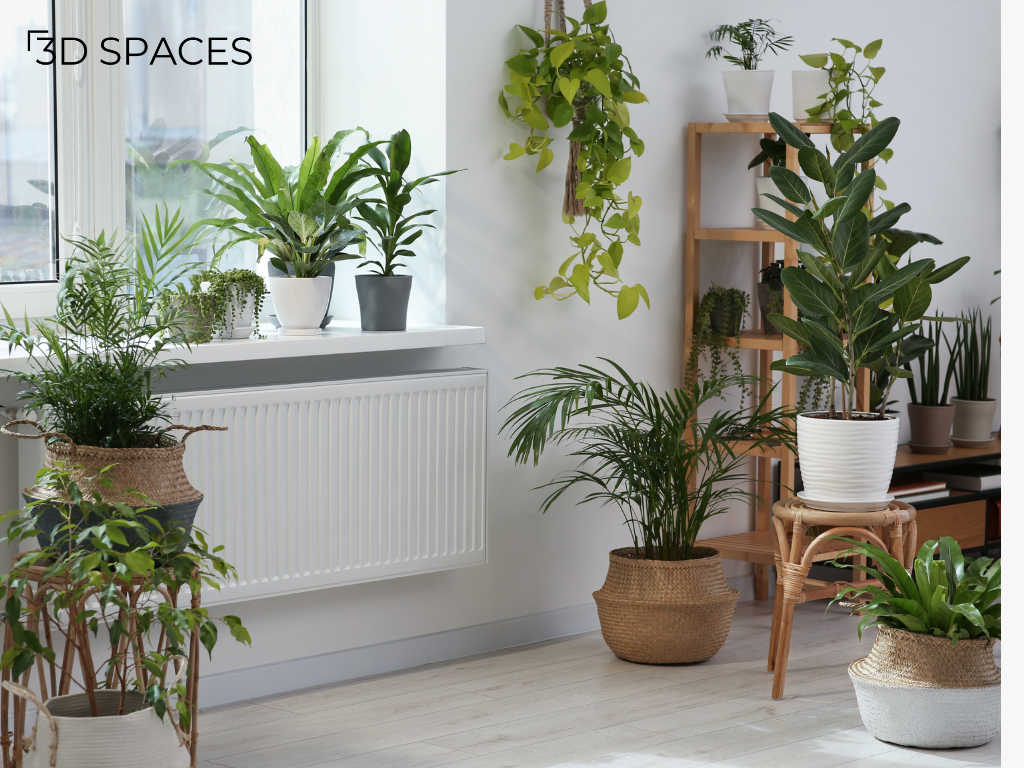 Modern living room with indoor plants, potted greenery, and natural home décor for a fresh and biophilic interior design.