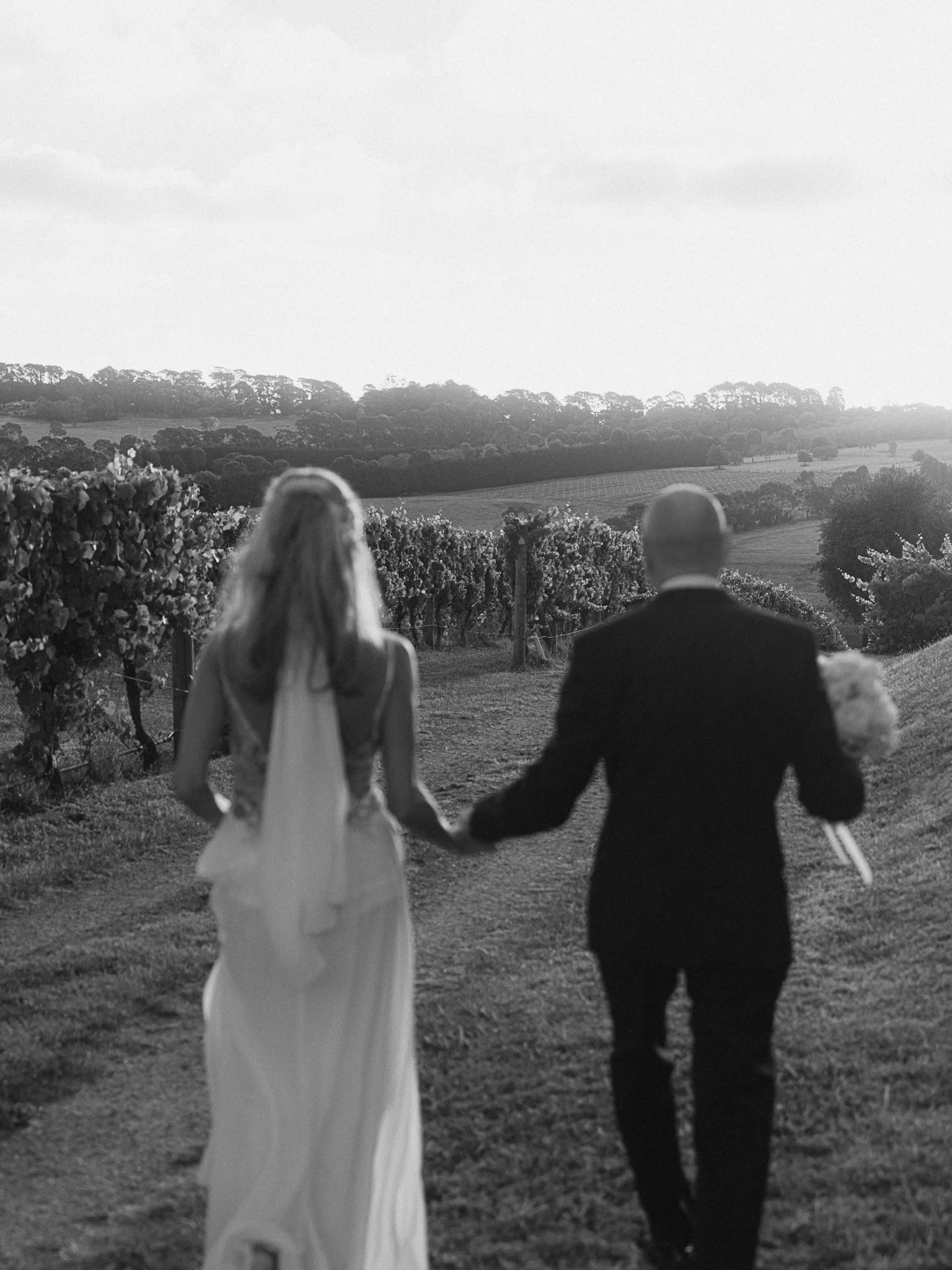 A bride and groom holding hands and walking through a vineyard at sunset in black and white.