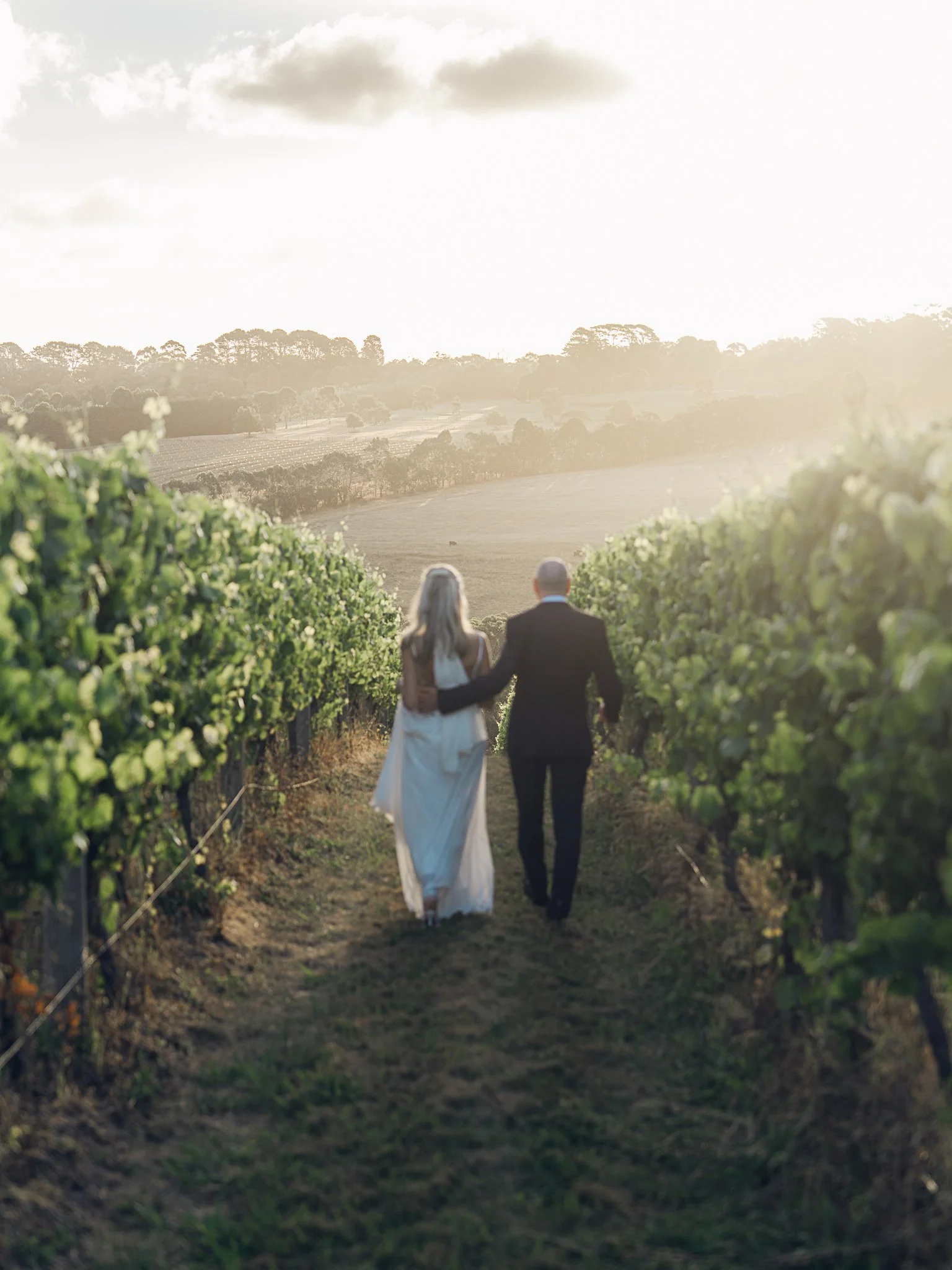 A newlywed couple walking hand in hand through a vineyard during sunset.