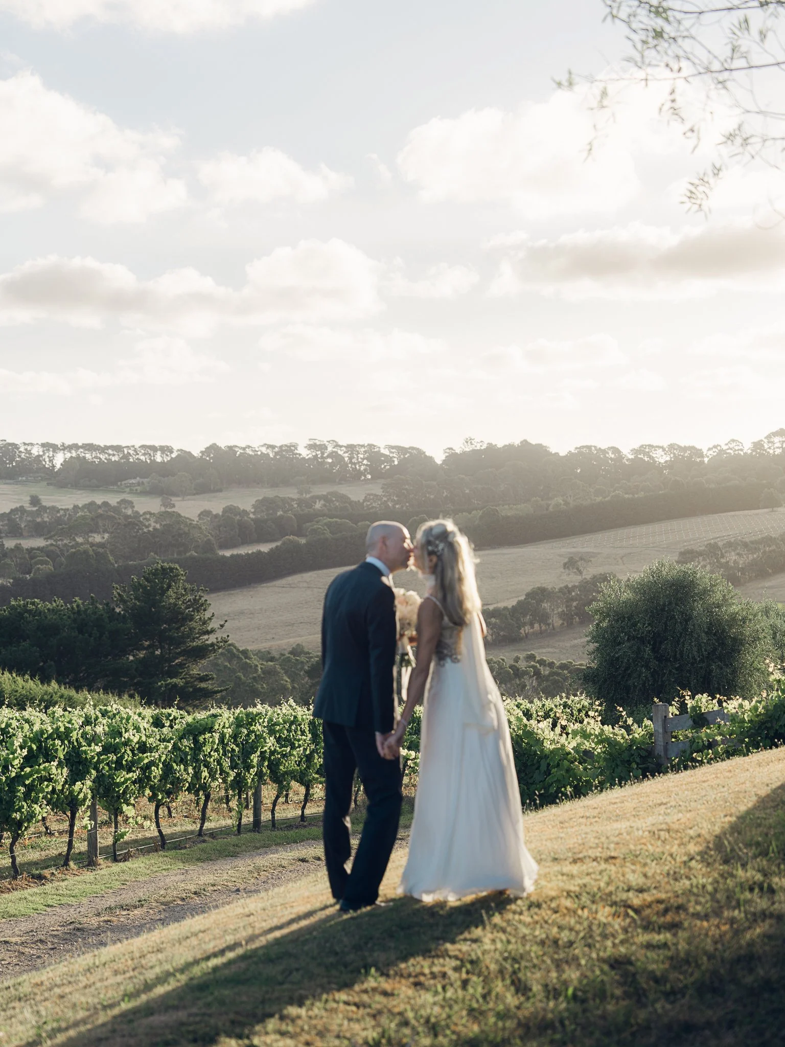 A bride and groom holding hands and about to kiss in a vineyard during sunset with rolling hills and trees in the background.