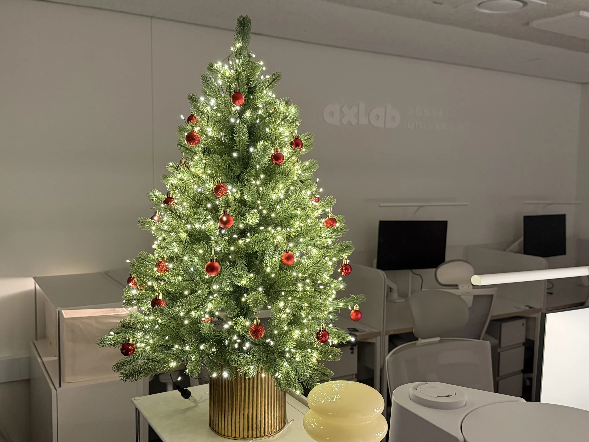 axlab 크리스마스 치장