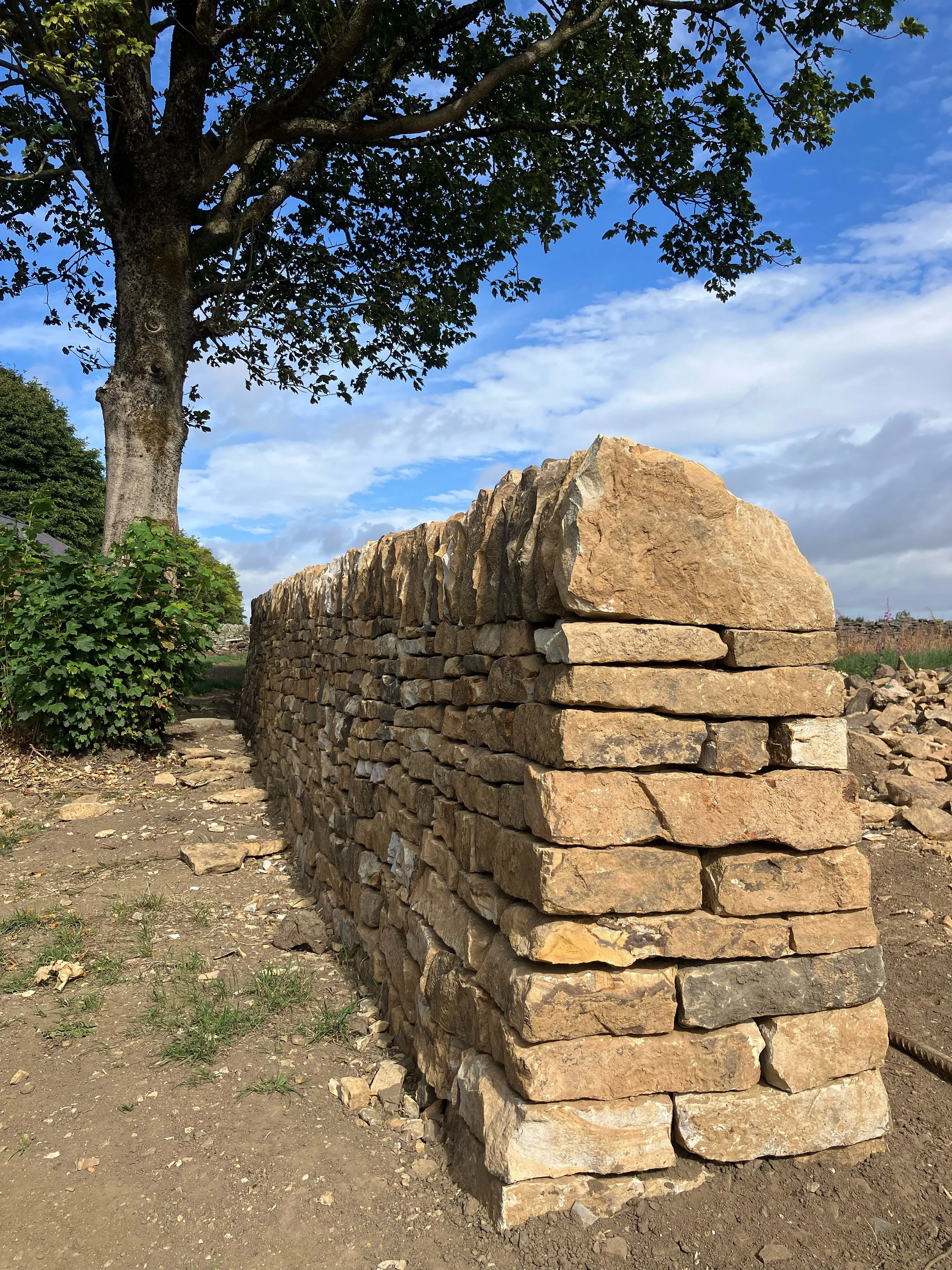 A dry stone wall made of stacked flat stones runs through a natural outdoor setting, with a large tree with green leaves and a blue sky with white clouds in the background.