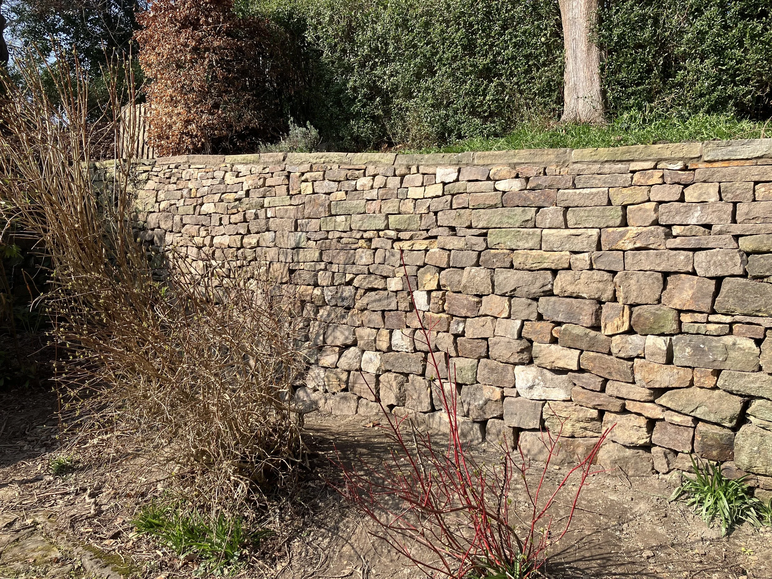 A drystone retaining wall with various plants and trees in front and behind it, under bright sunlight.
