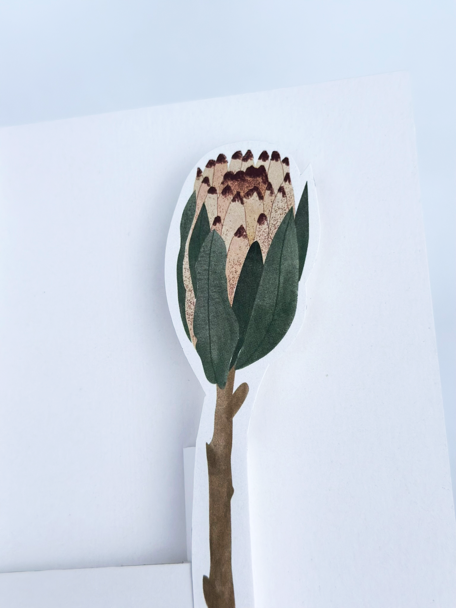 Velký květ na papírovém přání, který vystupuje do prostoru.