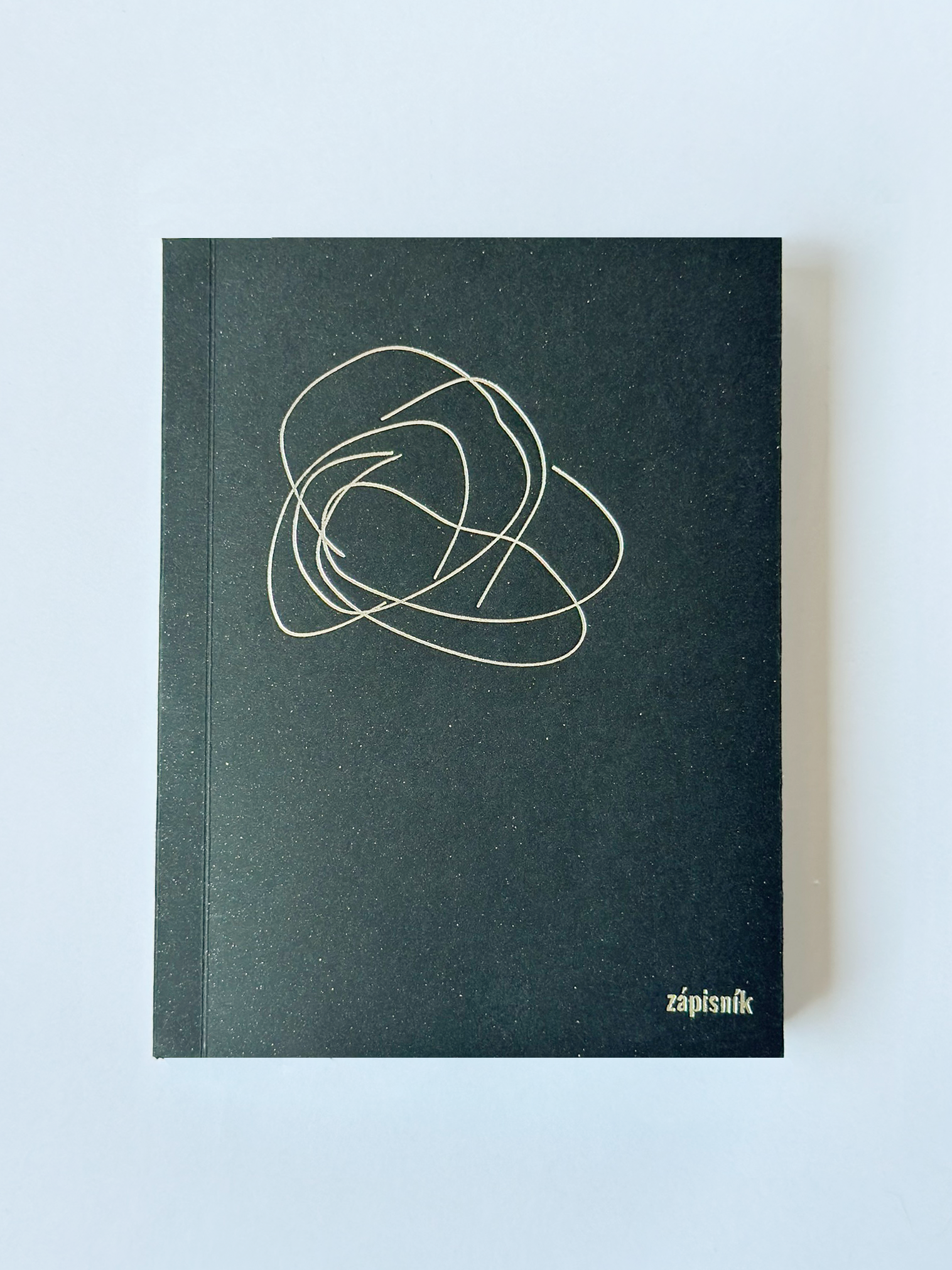 zápisník neobyčejné duše