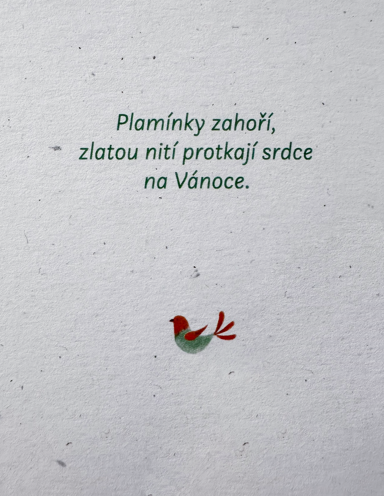vánoční a.png