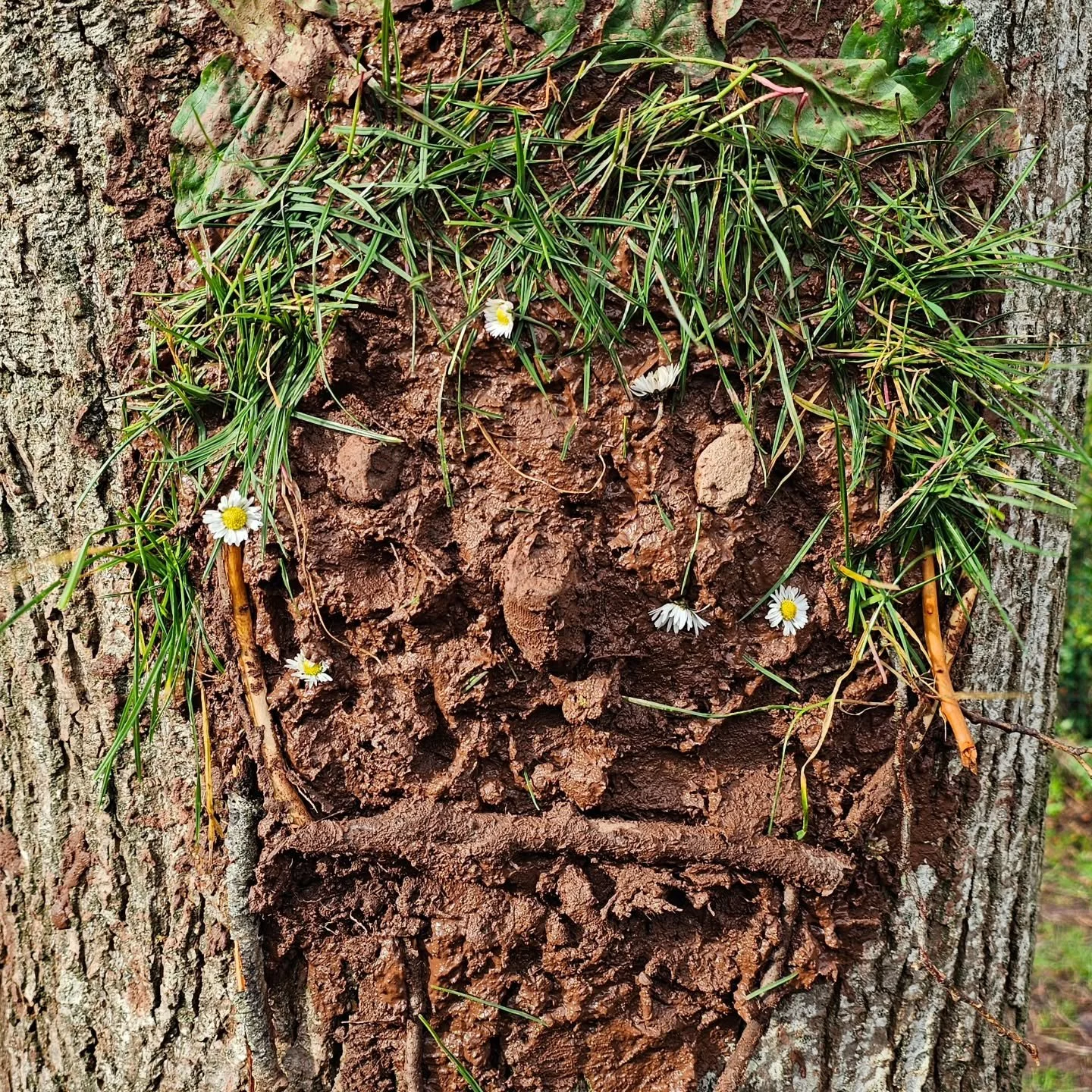 Another magical session with the Wildlife Champions of Ide Primary School. ✨ 

🧑&zwj;🌾 Only a little dab of direction was needed and before we knew it the mini pond and bog area had been developed, crocuses planted, upcycled slate signs decorated a