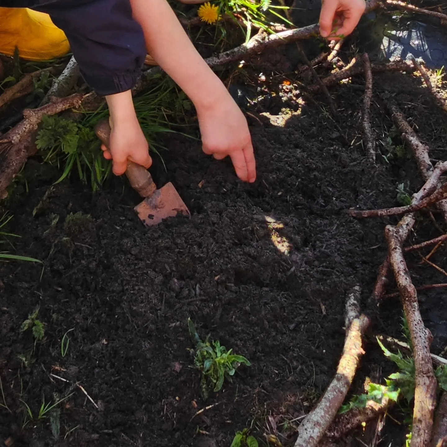 Fun in the sun and a *last day of term!* buzz with the Wildlife Champions of Ide Primary School today. 😀 🌞

Ragged robin was planted in the new mini bog area and the sink pond was topped up. Red campion and musk mallow seedlings, from seed sown las