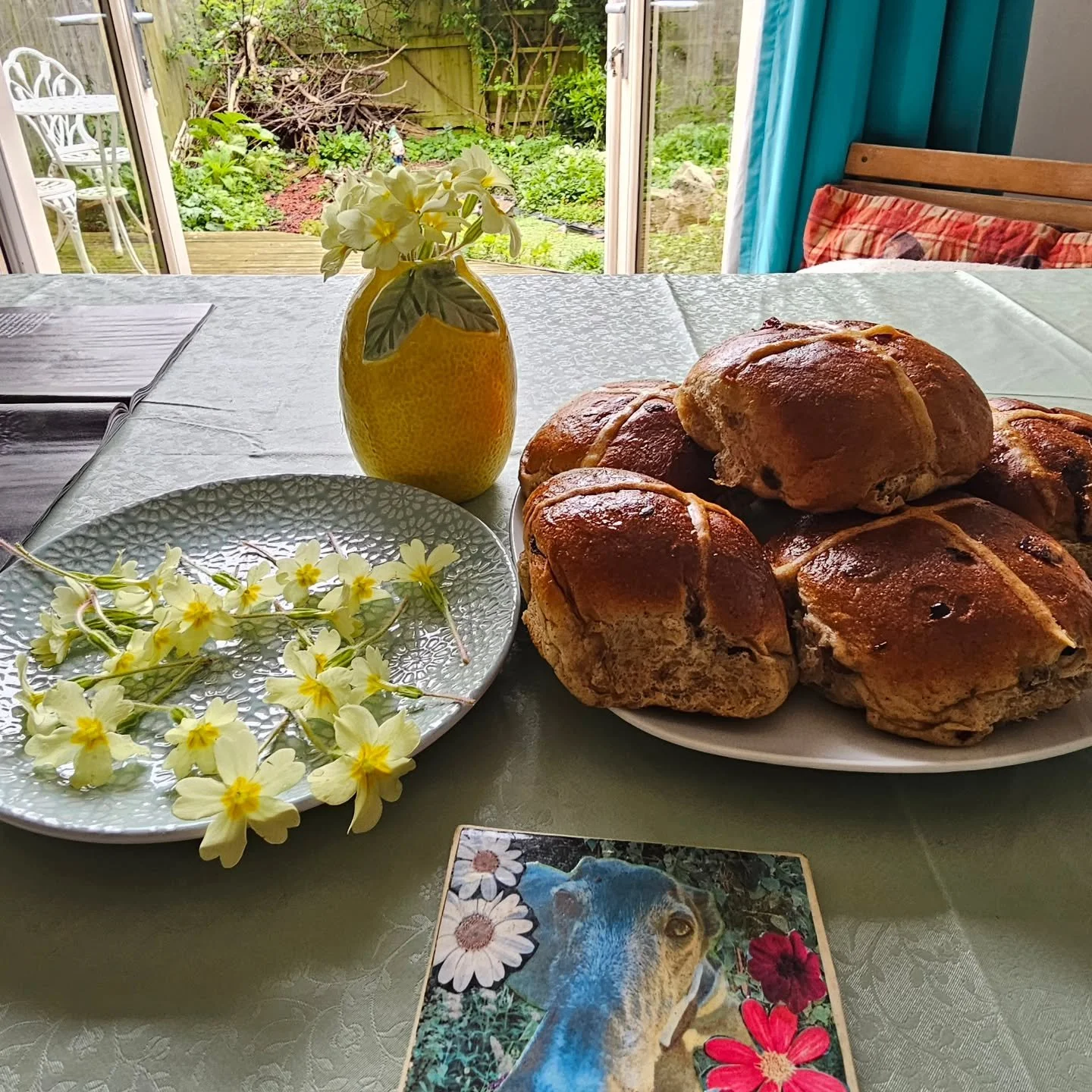 Good Friday. 💛

#primrose #primroses