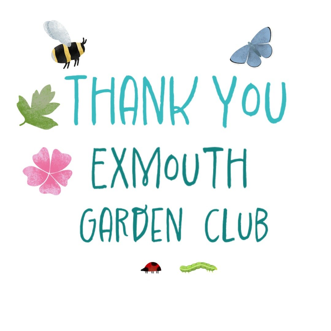 Wow, what an evening that was! I recently gave a talk to 60 + members of Exmouth Garden Club about how I garden with wildflowers to help wildlife. 

Thanks to the wonderful audience and organisers, it was great fun to share ideas and anecdotes and en