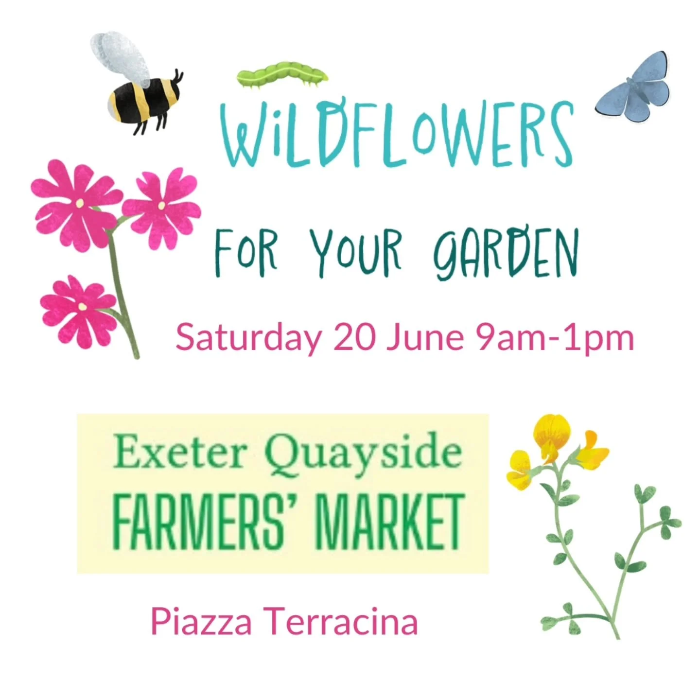 June plant sale! 🌸 🌼 🌱🐝 🦋 🐛

Saturday 20 June, 9am to 1pm, Piazza Terracina, Exeter quayside @exequayside_farmersmarket

Hope you can swing by for a chat, a peruse, maybe a purchase (or several!) and enjoy local treats and good vibes on the qua