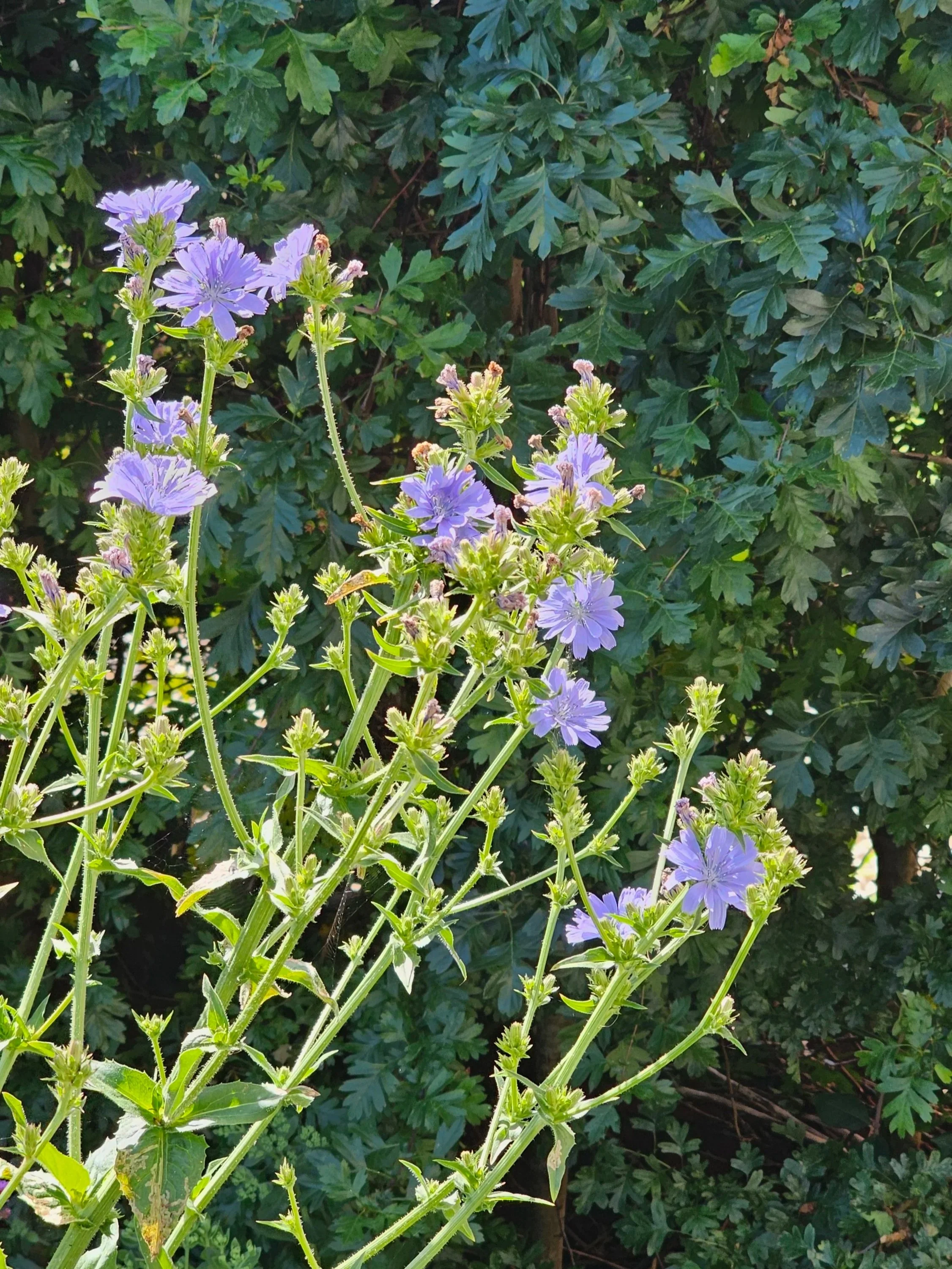 20260613_104354.jpg