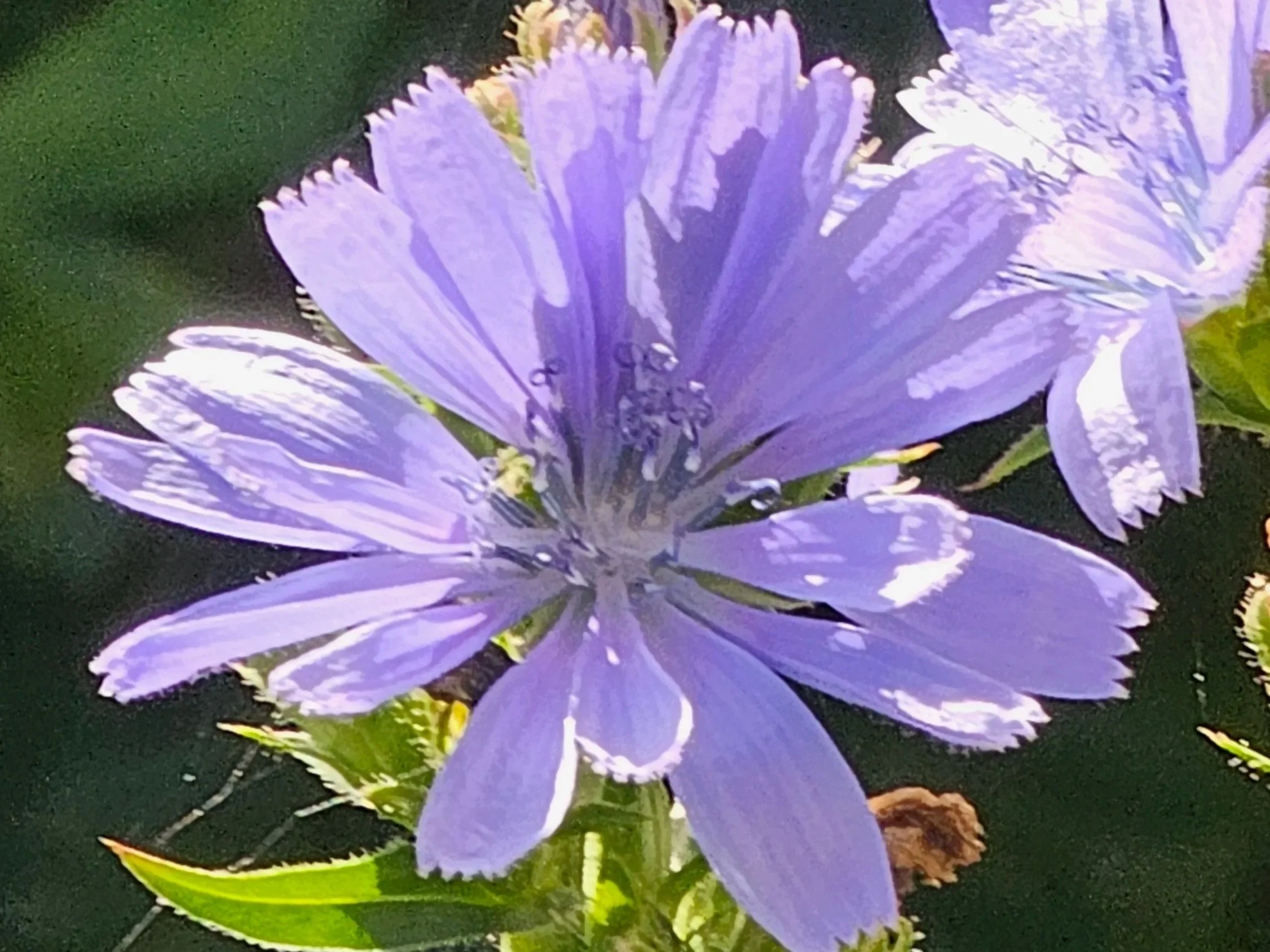 20260613_104416.jpg