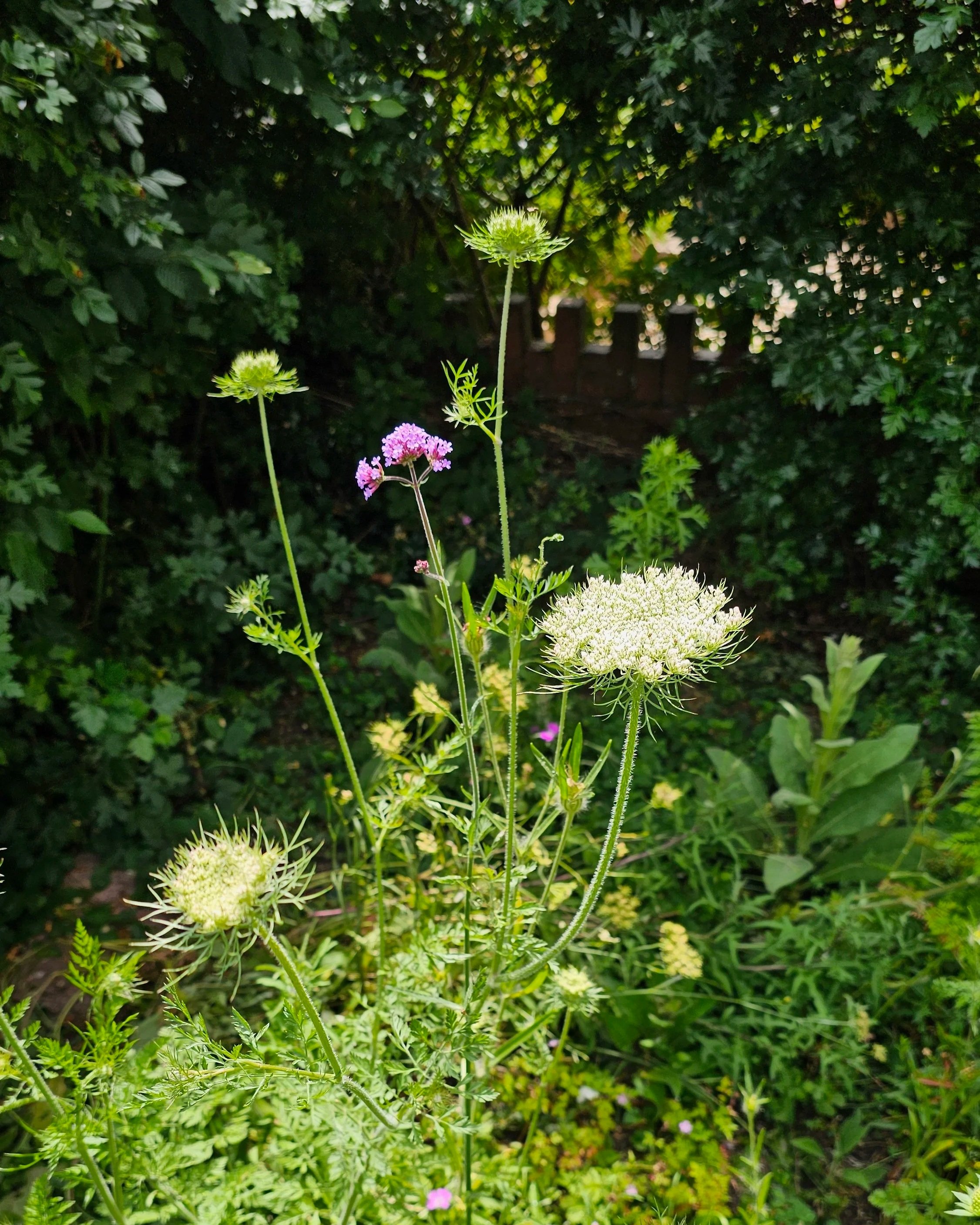 20260615_122236+2.jpg