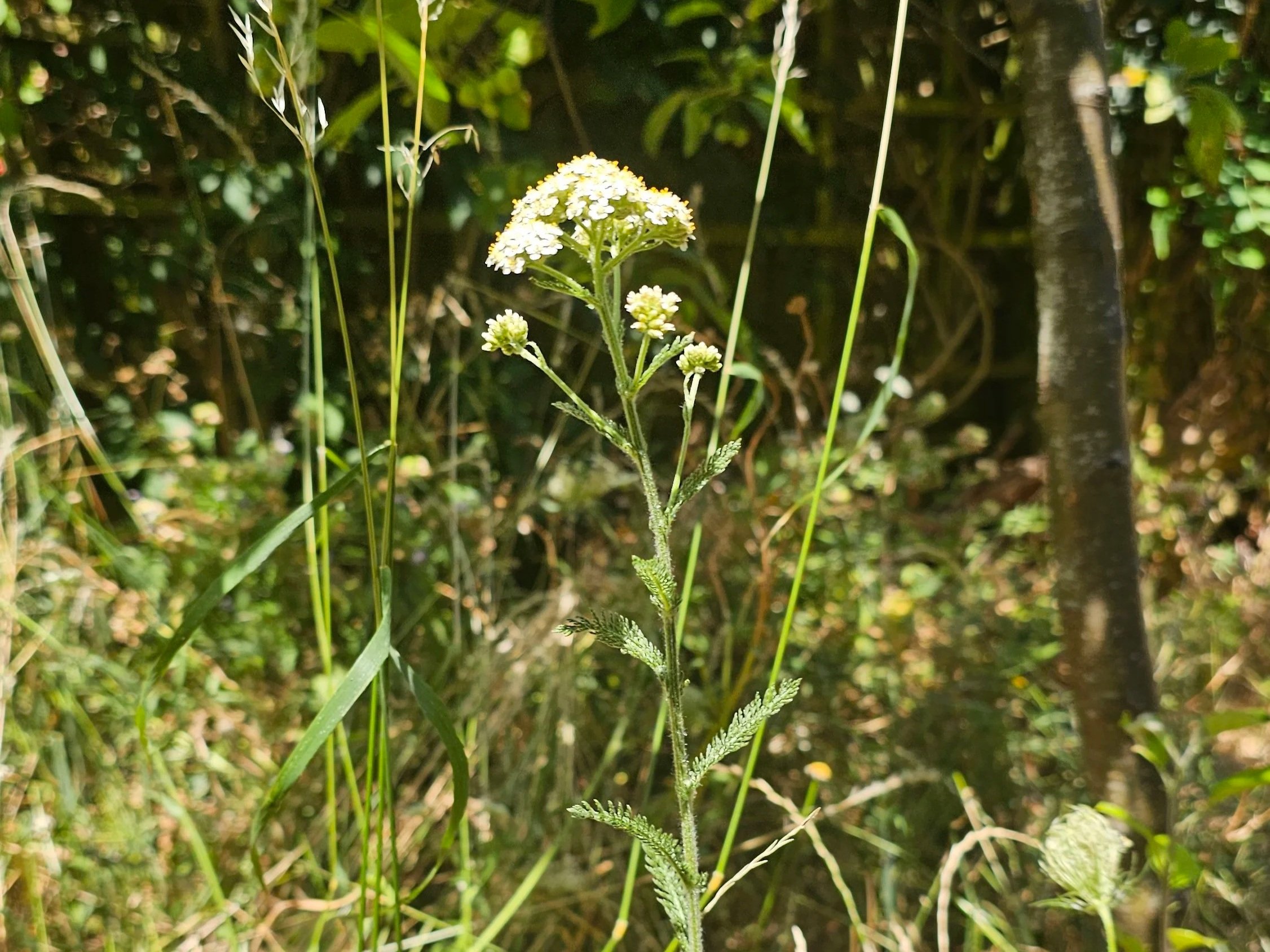20260714_141933.jpg
