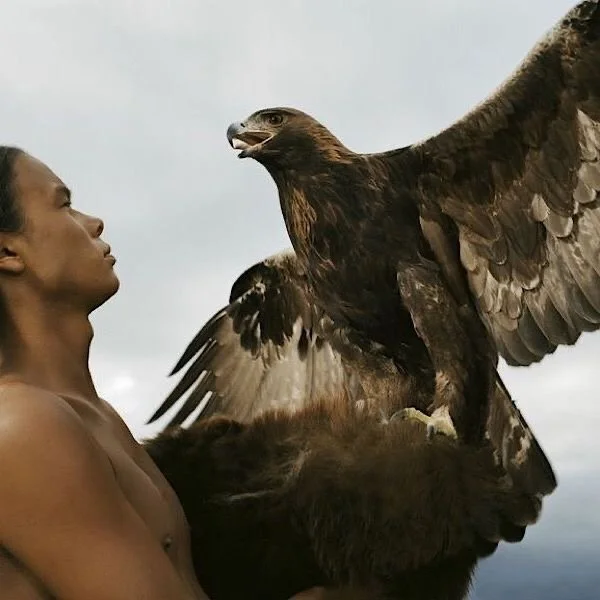 Animalia Journey | Aries