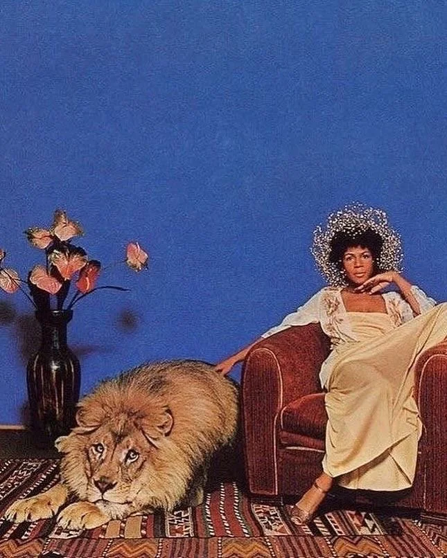 Animalia | Leo.