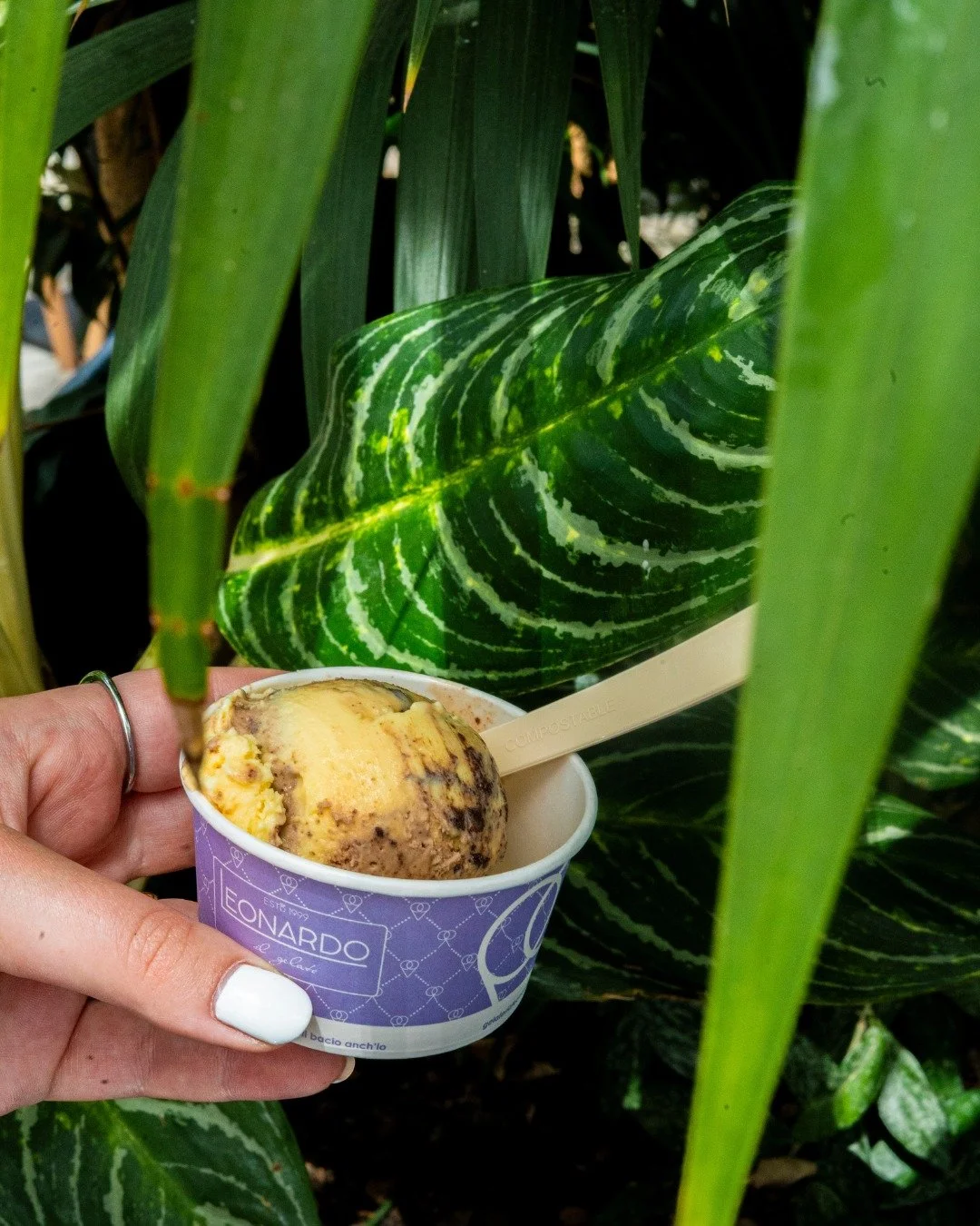 Unser Lieblings-Pick me Up 🍪🍦
#aff #säuliamt #glace #feiern #gastroerlebnis #snack #affsäuliamt