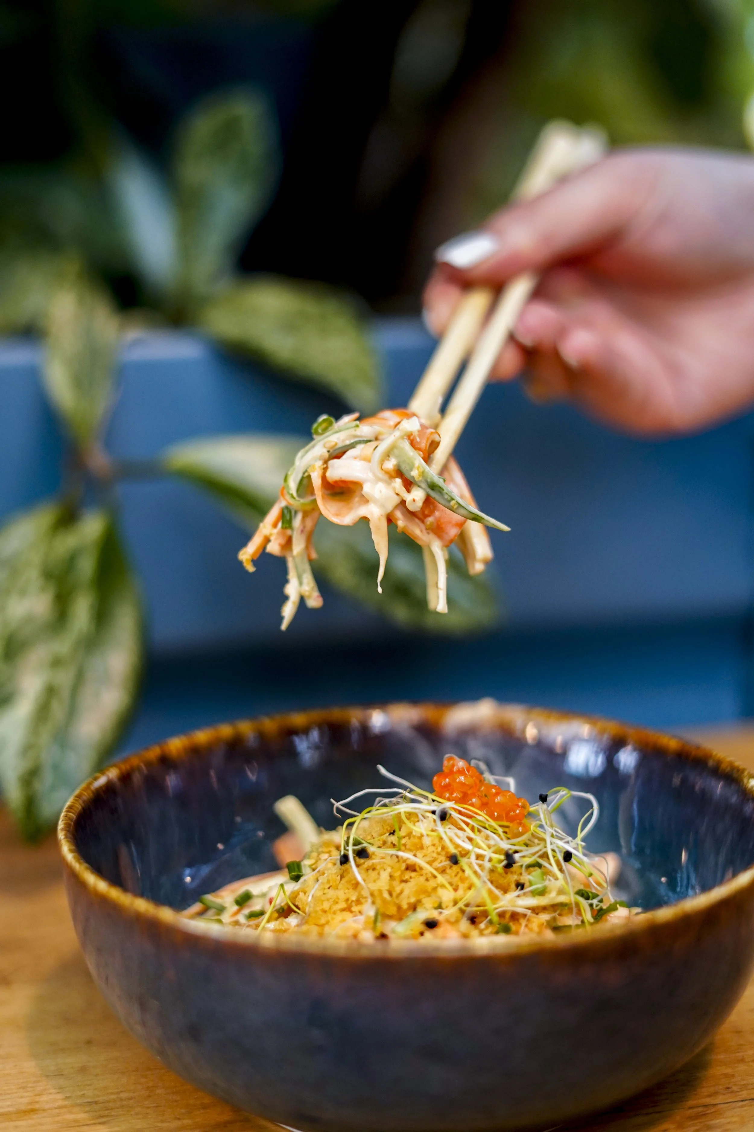 Hand, die mit Essstäbchen einen Nudel-Salat aus einer Schüssel hebt, mit geröstetem Tofu, Gurken, Karotten, kleinen roten Fischrogen, Algen und Sprossen, in einem blauen Keramikschüssel auf Holztisch, im Hintergrund grüne Pflanze.