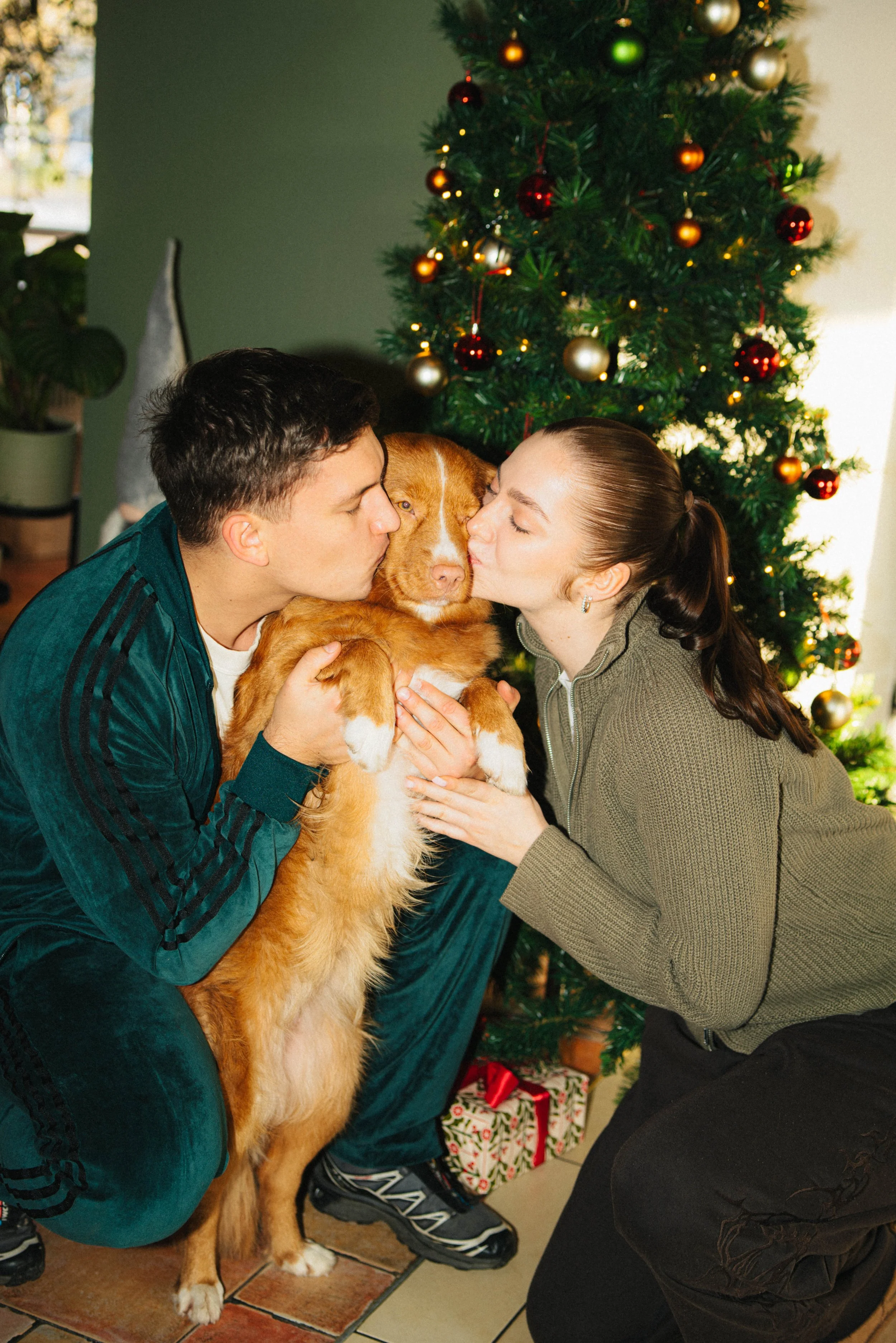 Habits x Labās mājas