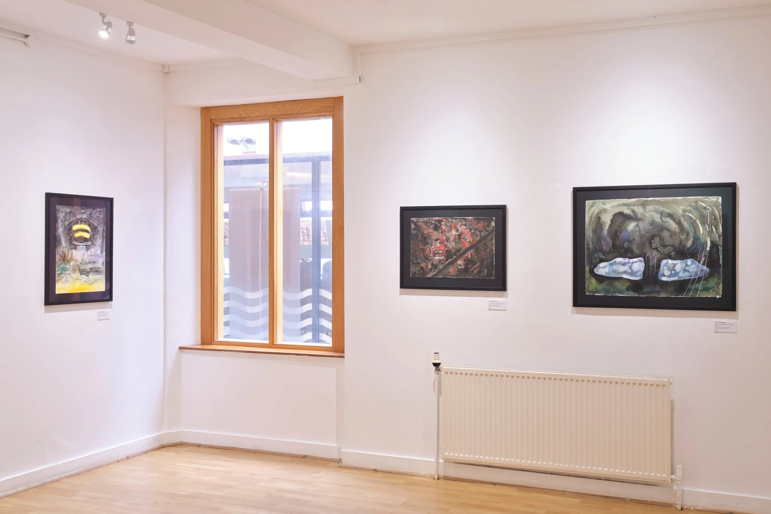 20250903 Culturlann Rónán Ó Raghallaigh 013.jpg