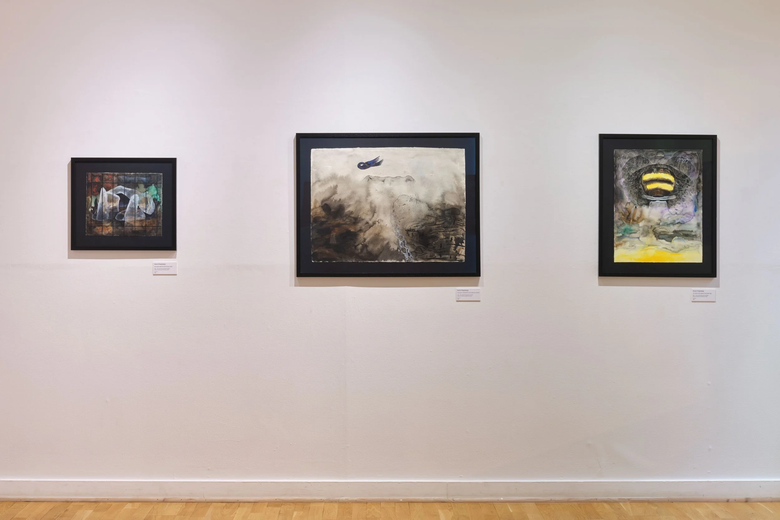 20250903 Culturlann Rónán Ó Raghallaigh 003.jpg