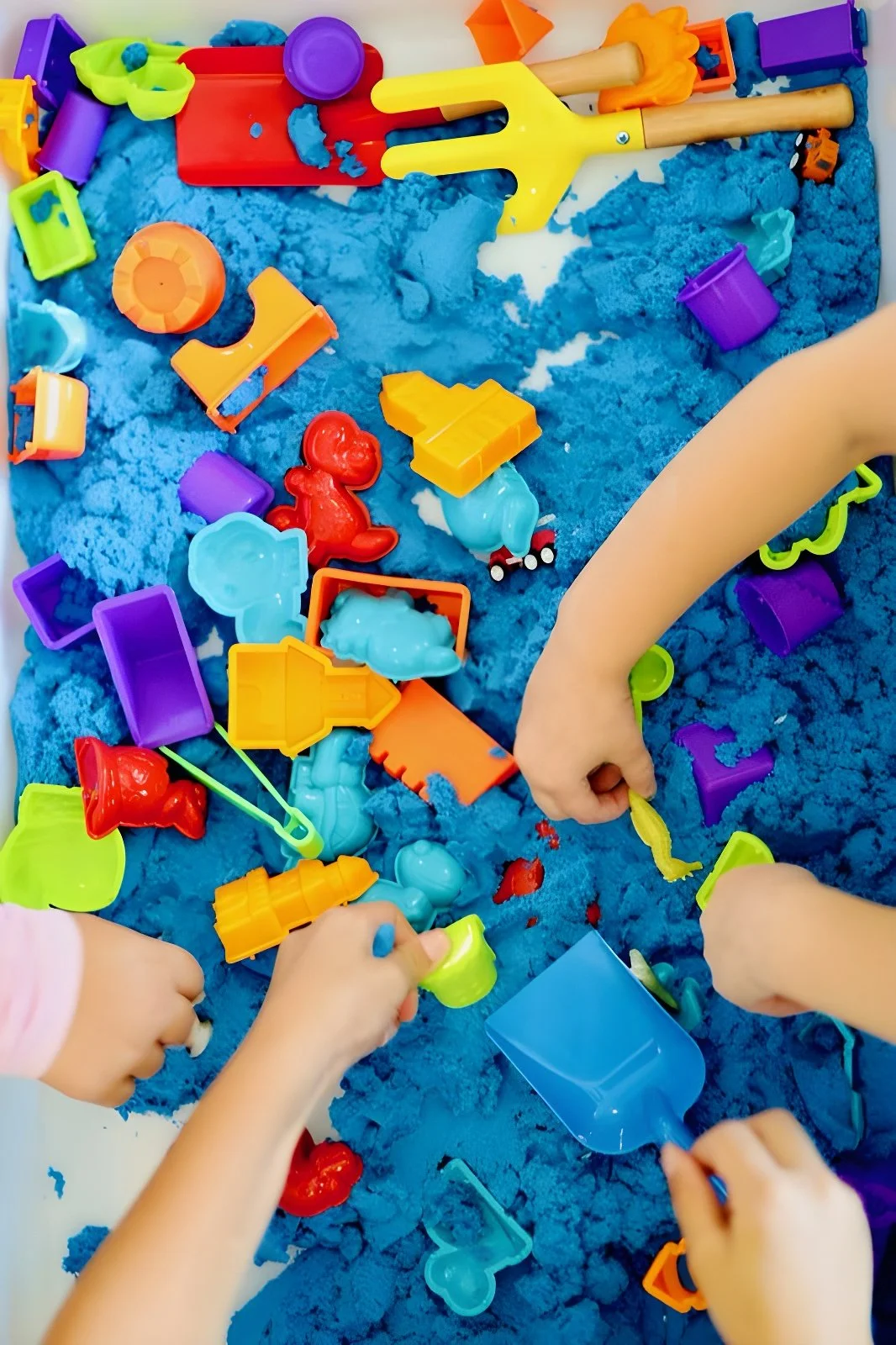 Swallowtail upscale.jpeg