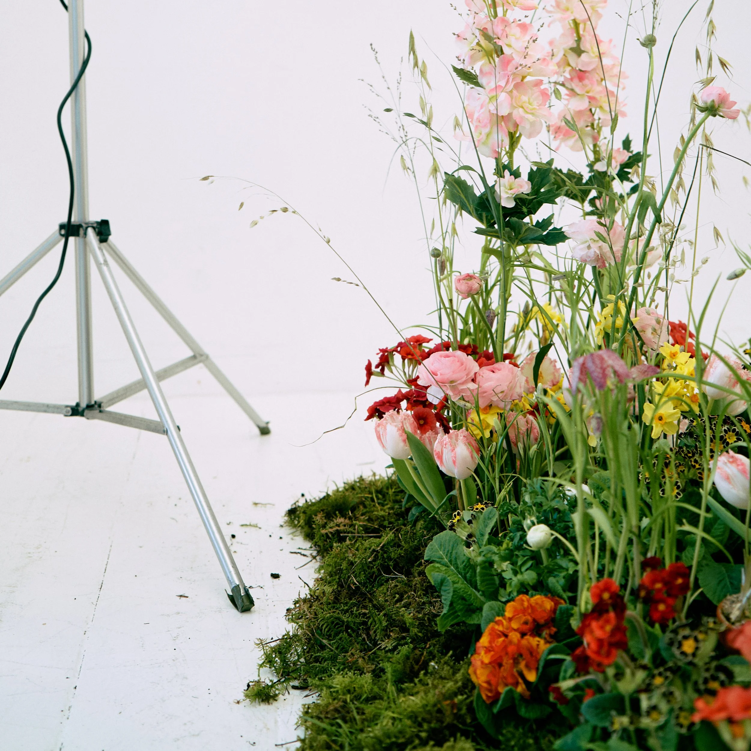 CTR_EPSS24_1080x1080_ 1.jpg