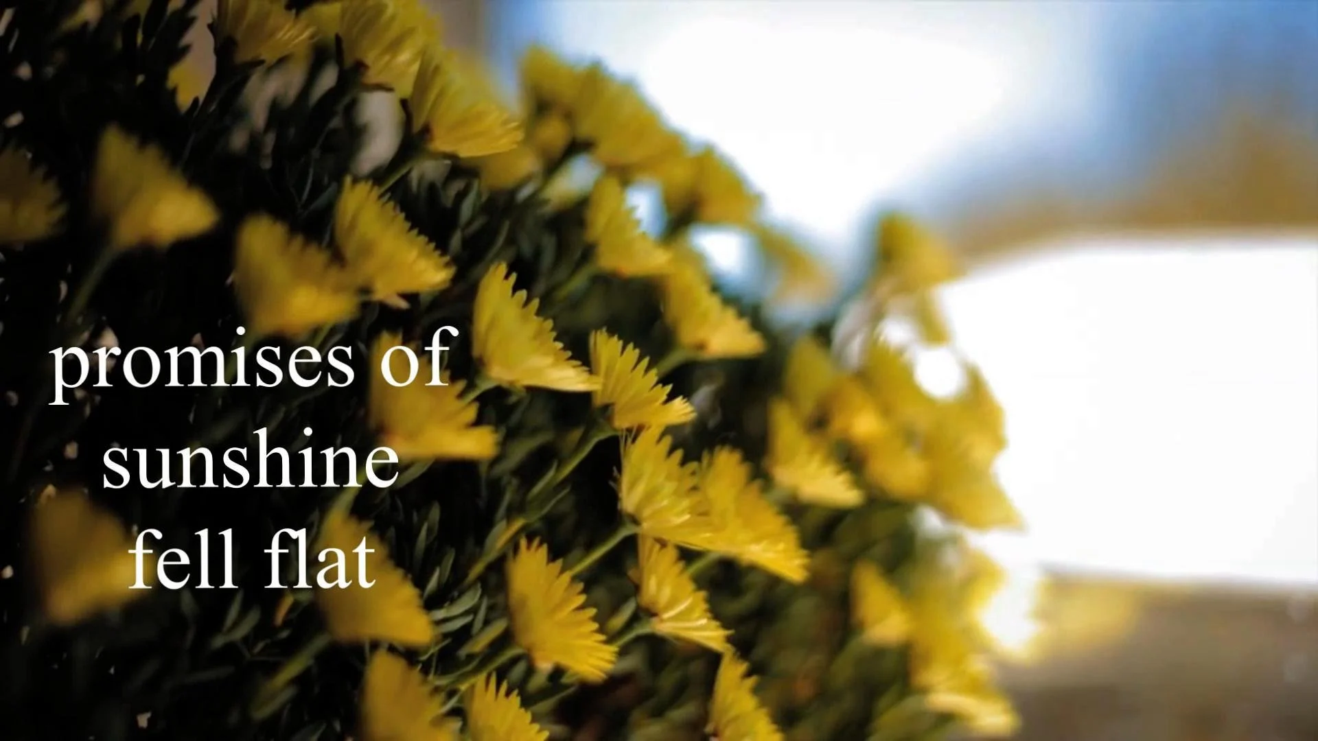 Planet 23_video edit_v2-Thumbnail.jpg