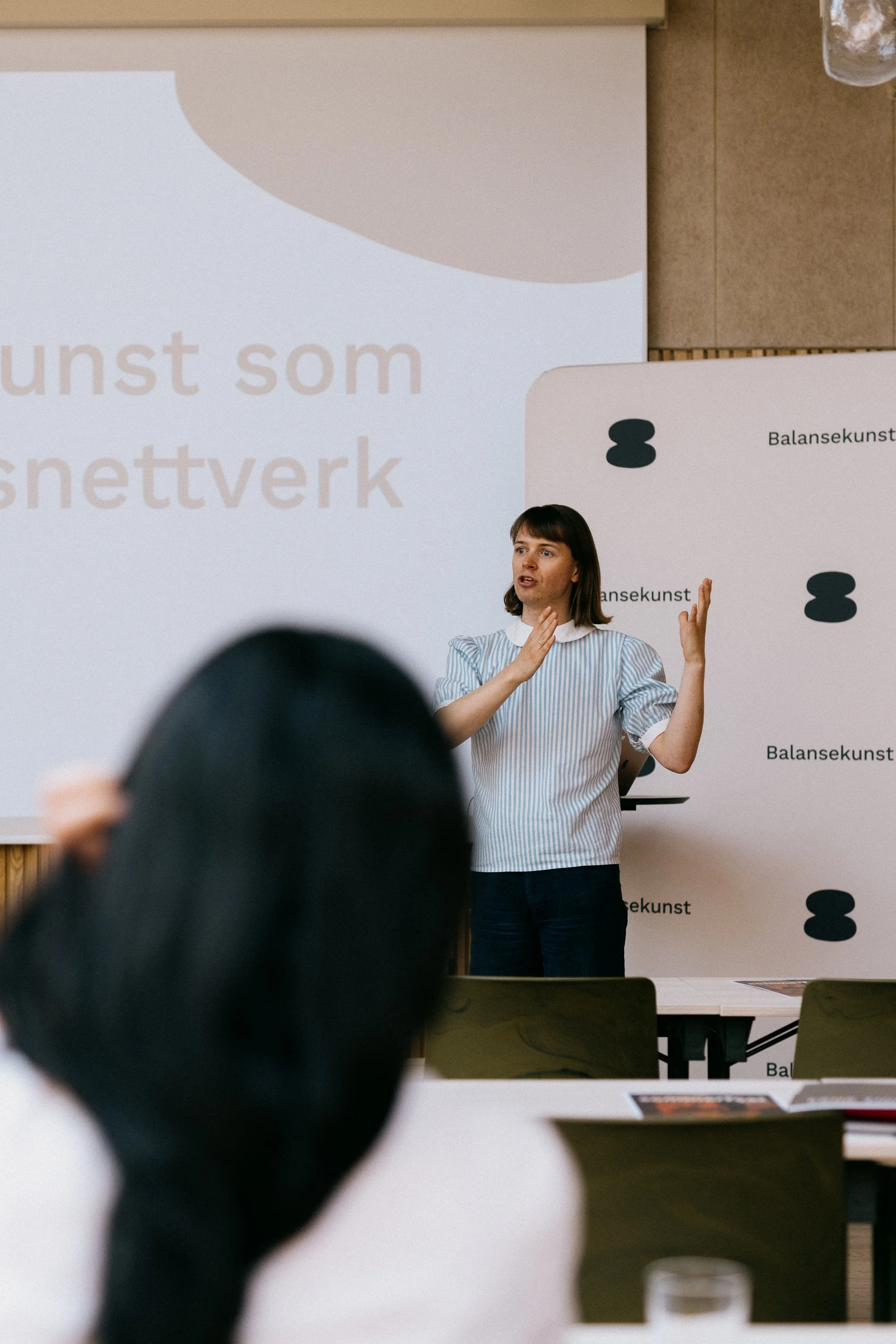 Balansekunst på Vestfoldmuseenes høstseminar: Frie museer?