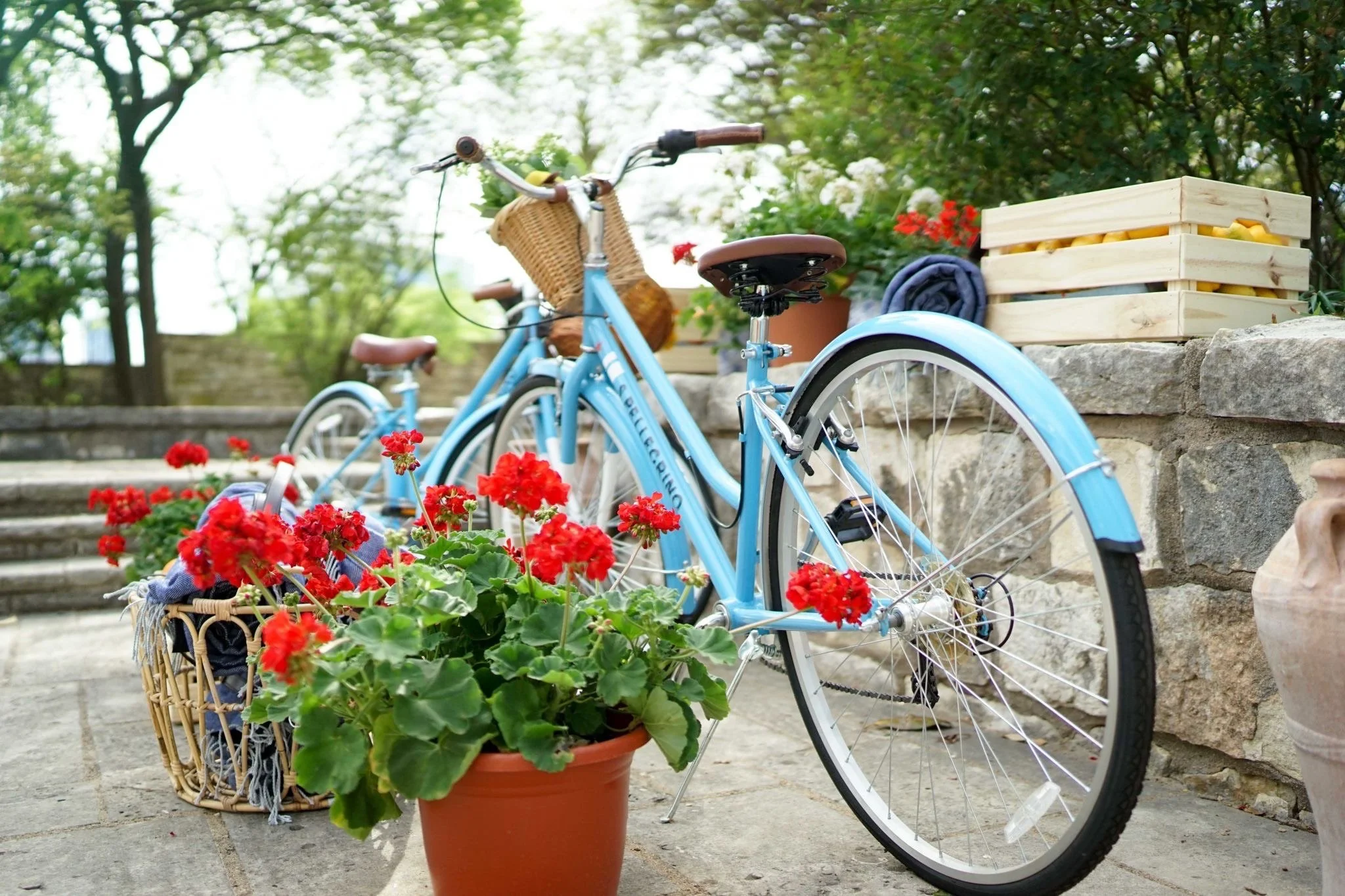Vintage blue bicycle decorated with red geraniums as part of the Italian-inspired SXSW activation decor