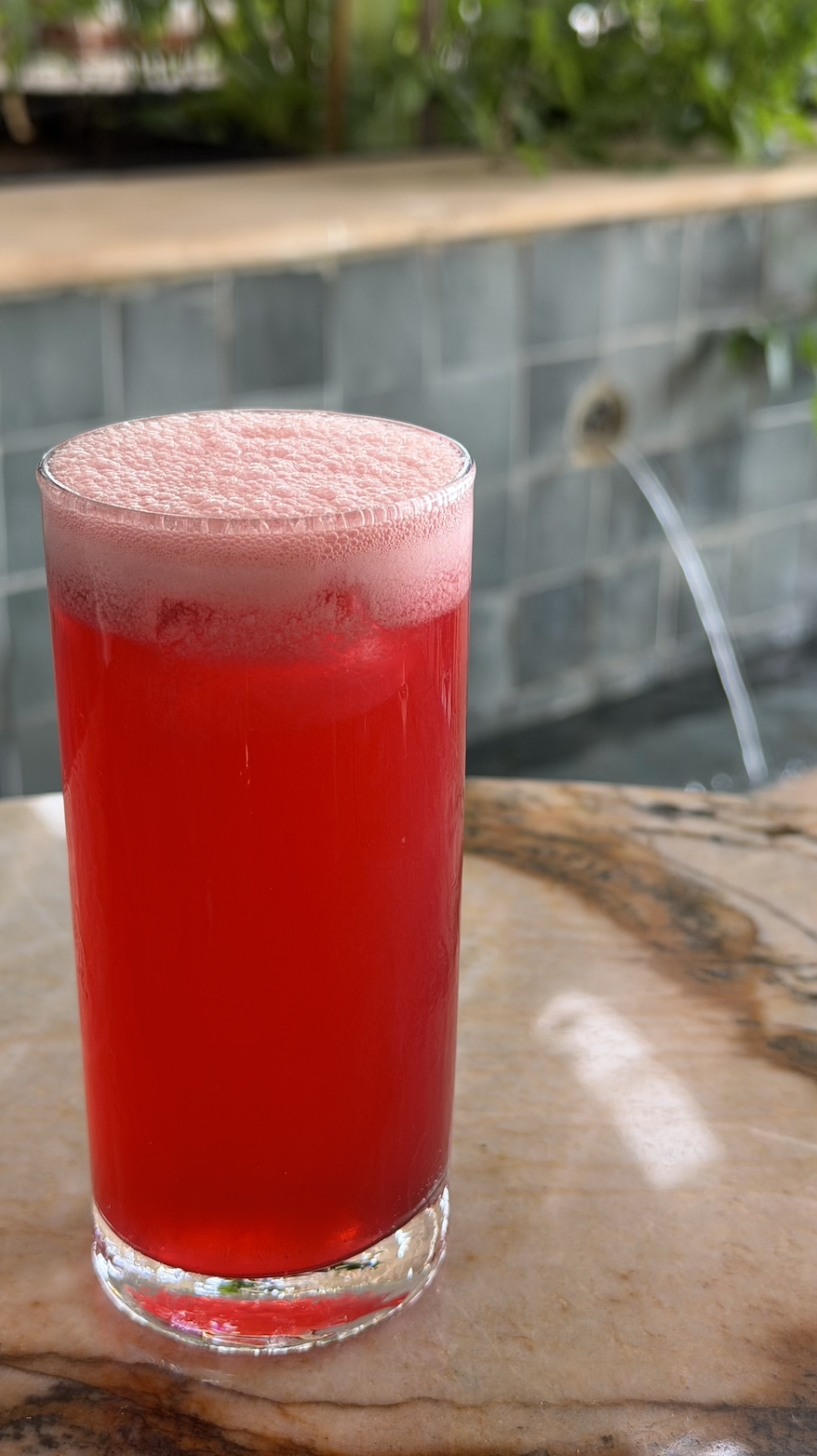 Pomegranate Lemonade / 35 AED