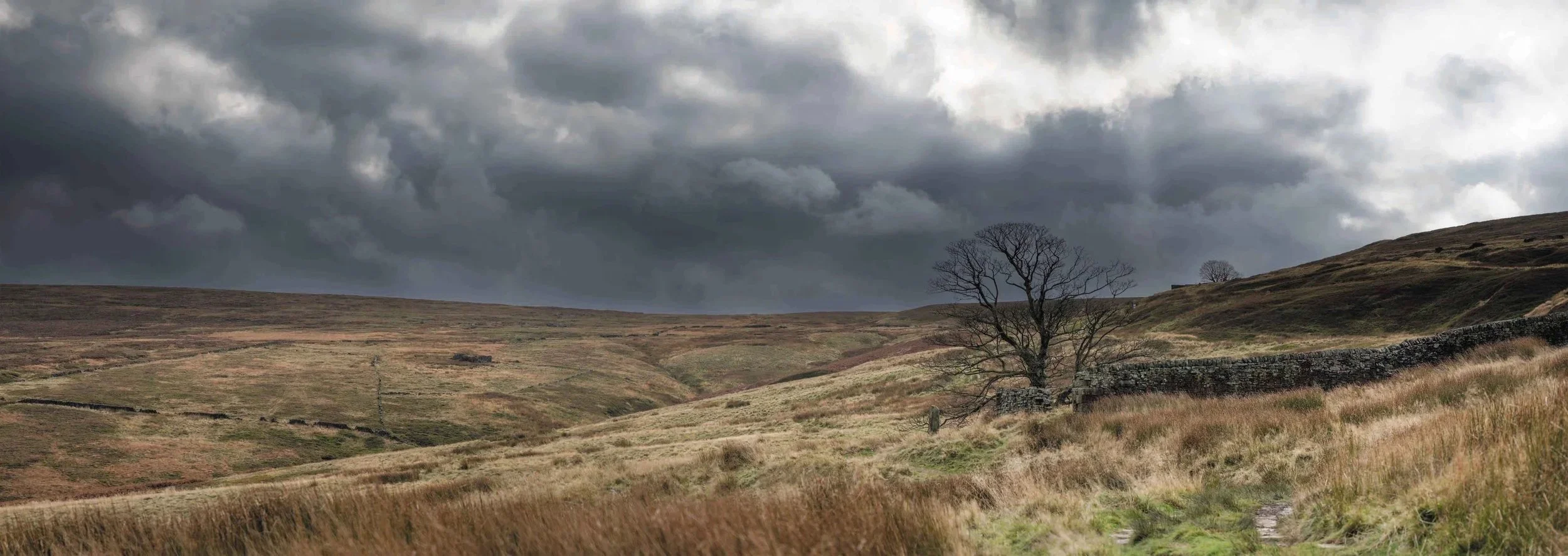Een landschap met glooiende heuvels en een stenen muur onder een bewolkte, donkere hemel. Een kalme, verlaten omgeving met een enkele bladloze boom.