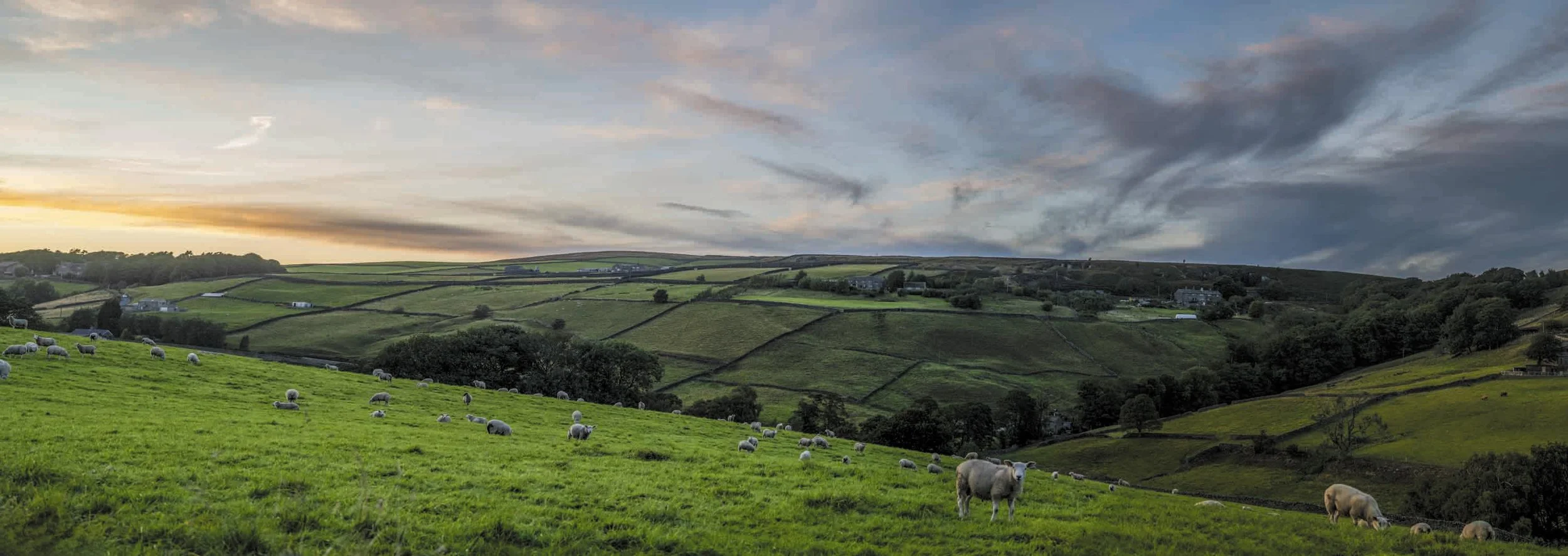 Heuvelachtig landschap met groene weilanden en schapen onder een bewolkte hemel tijdens zonsondergang.