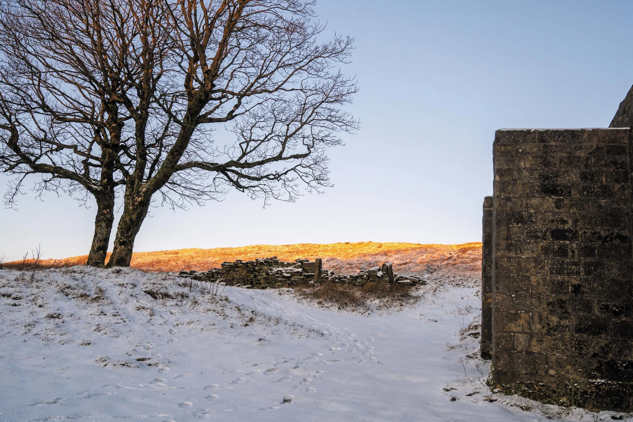 Een kaal boom met takken zonder bladeren, een stenen muur en een stuk van een vallei met een sneeuwbedekt landschap onder een blauwe hemel.