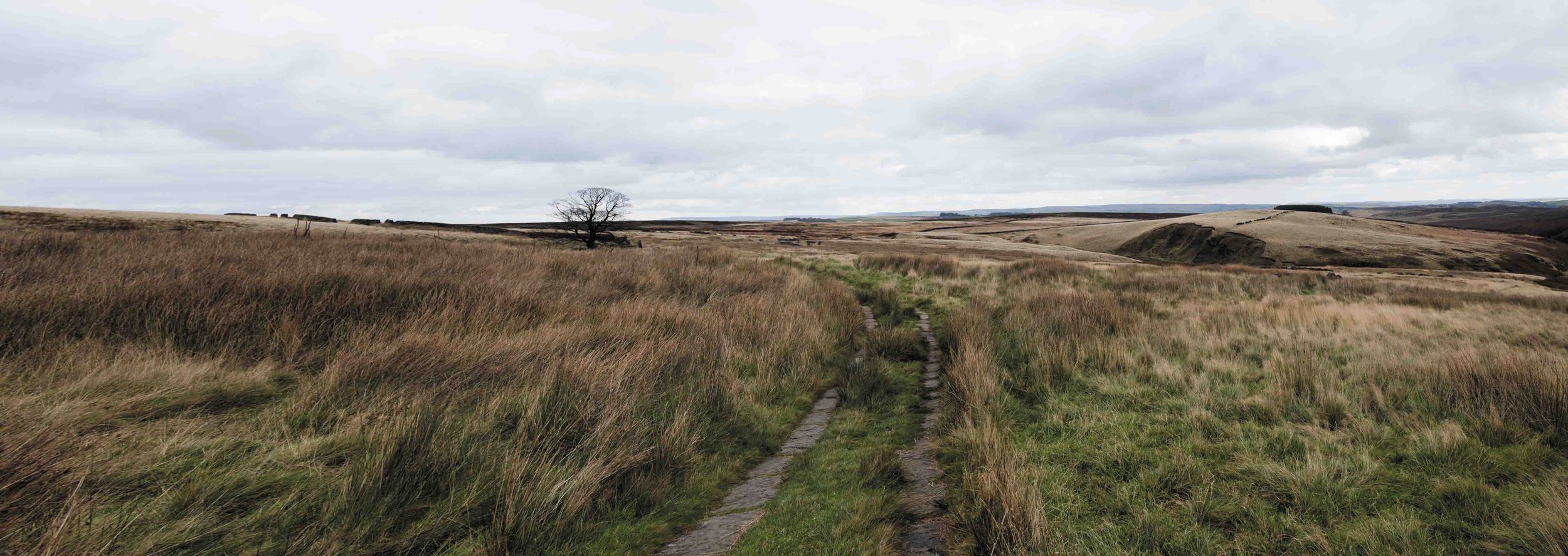 Een grasland met een smalle stenen weg die door het landschap leidt, onder een bewolkte hemel.